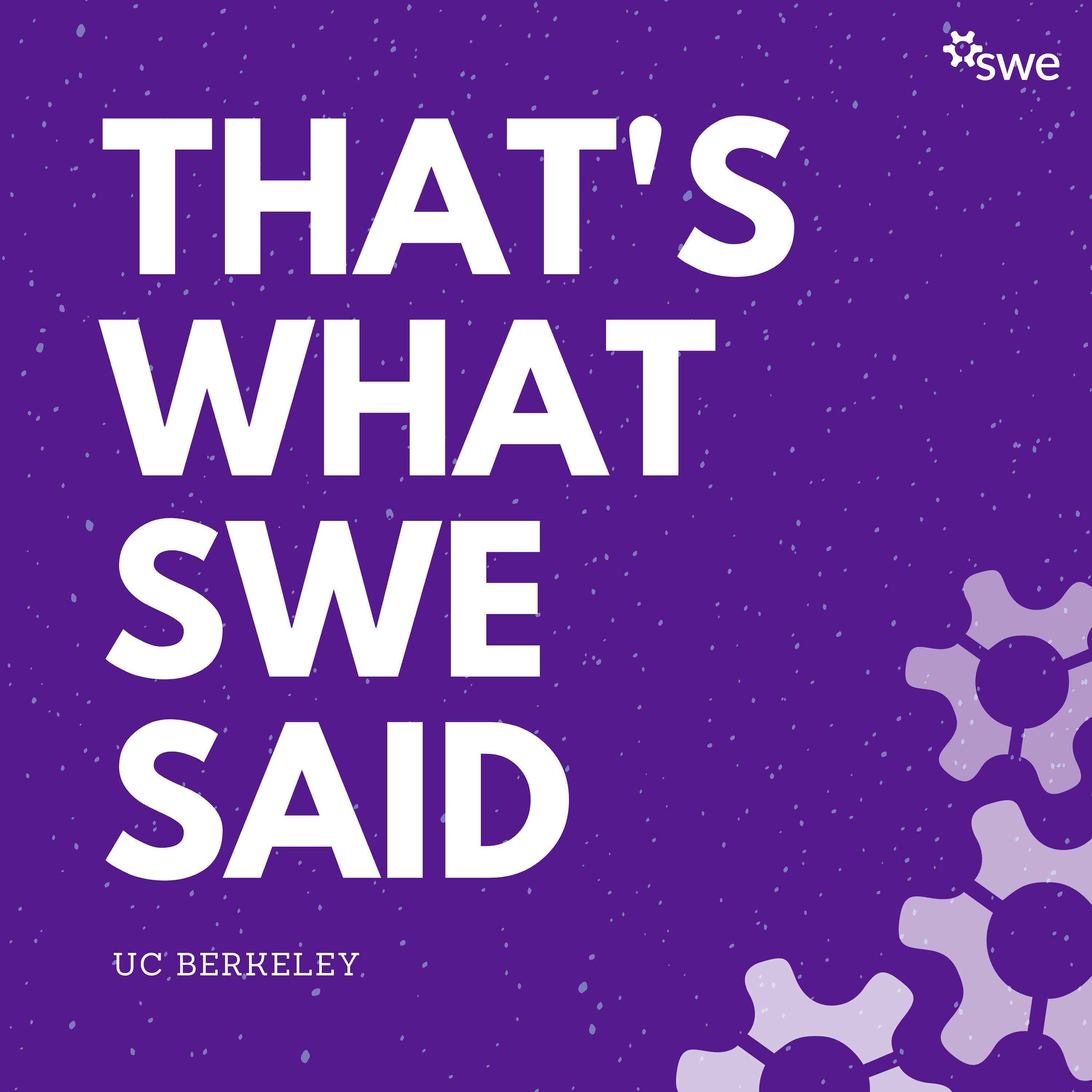 That's What SWE Said cover art