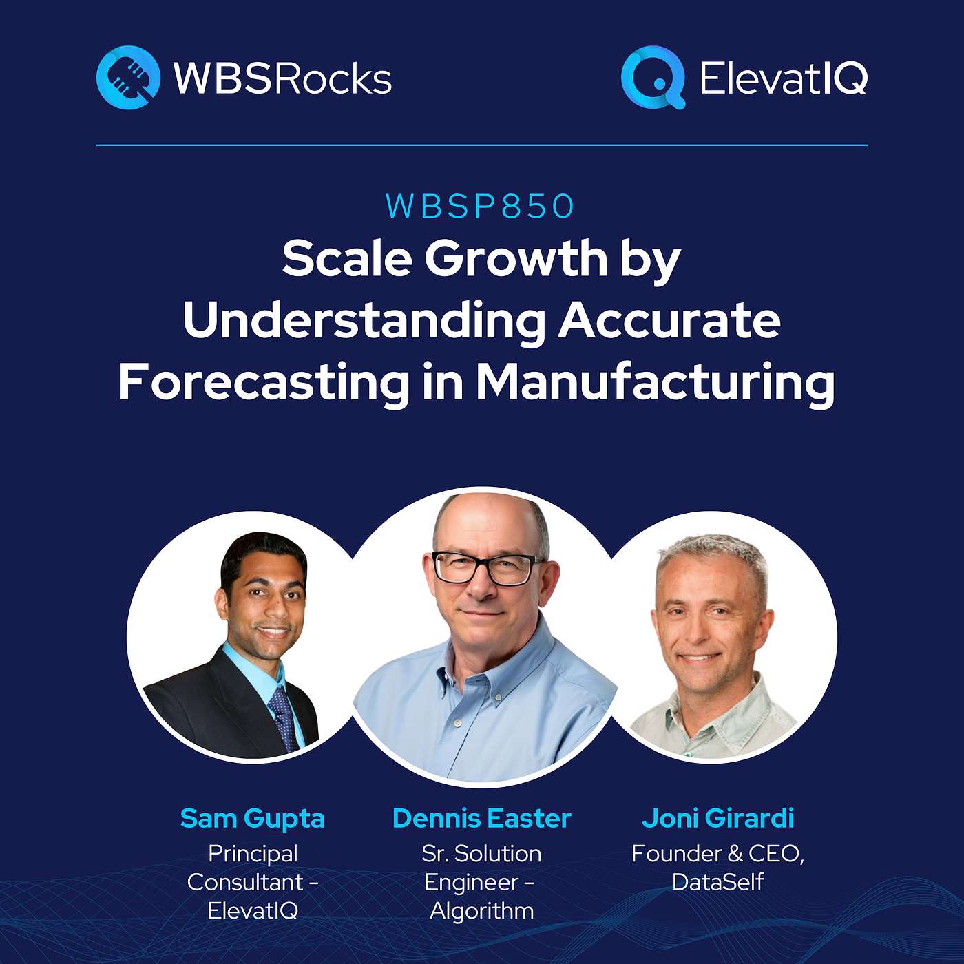 WBSRocks: Scaling Growth with AI, Enterprise Software, and Digital Transformation