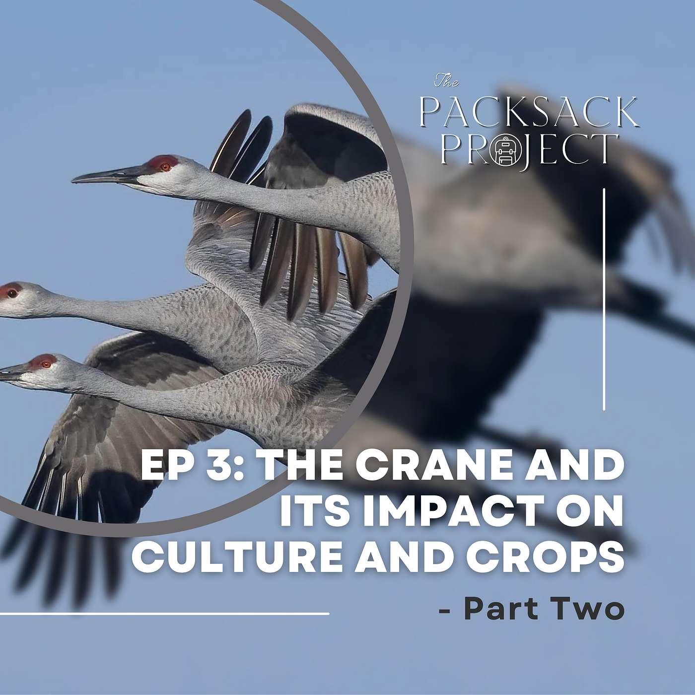 The Crane and its Impact on Culture & Crops Pt 2