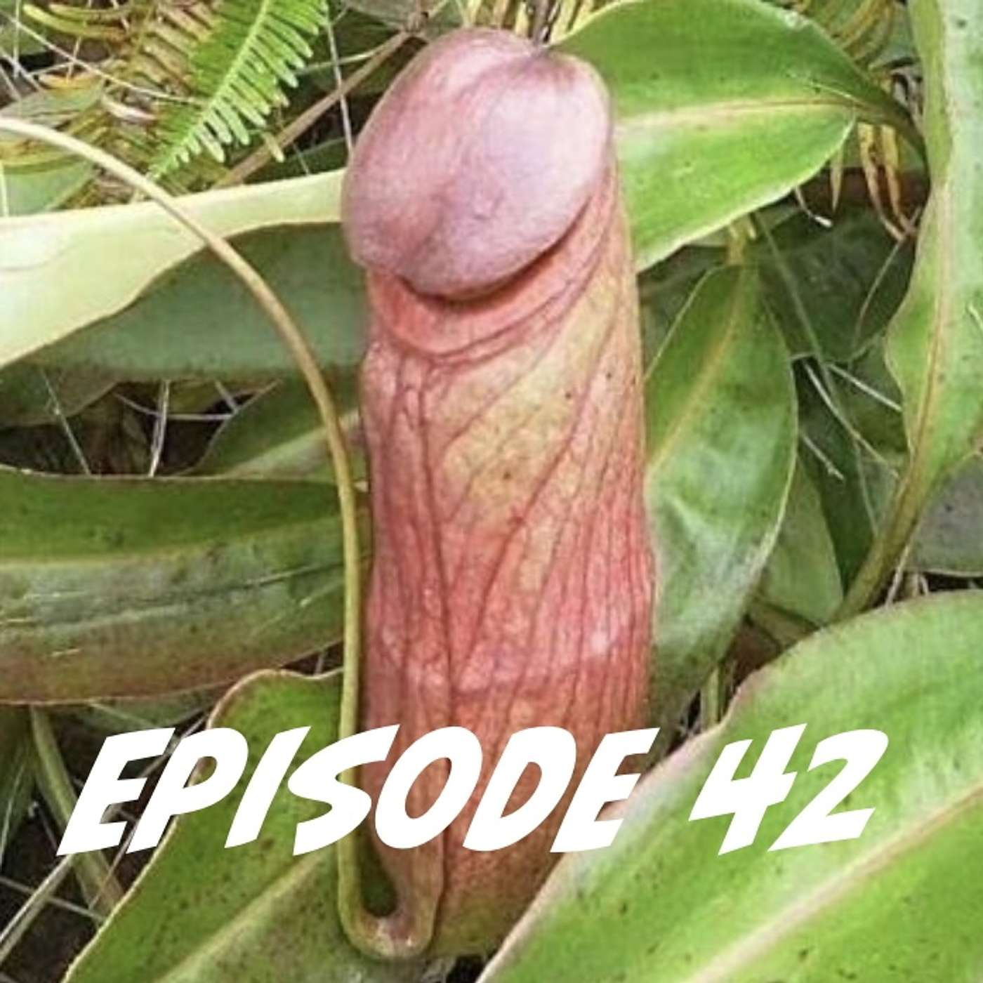 cover of episode The Full Blooded Plant