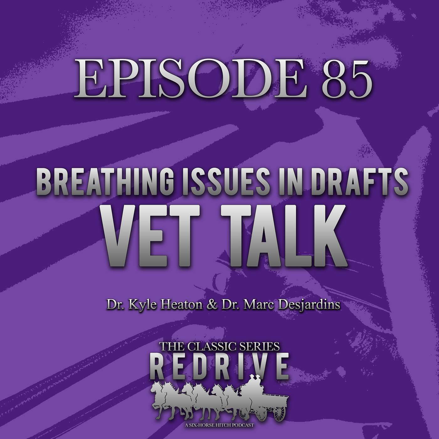 #85 Vet Talk - Breathing Issues in Draft Horses