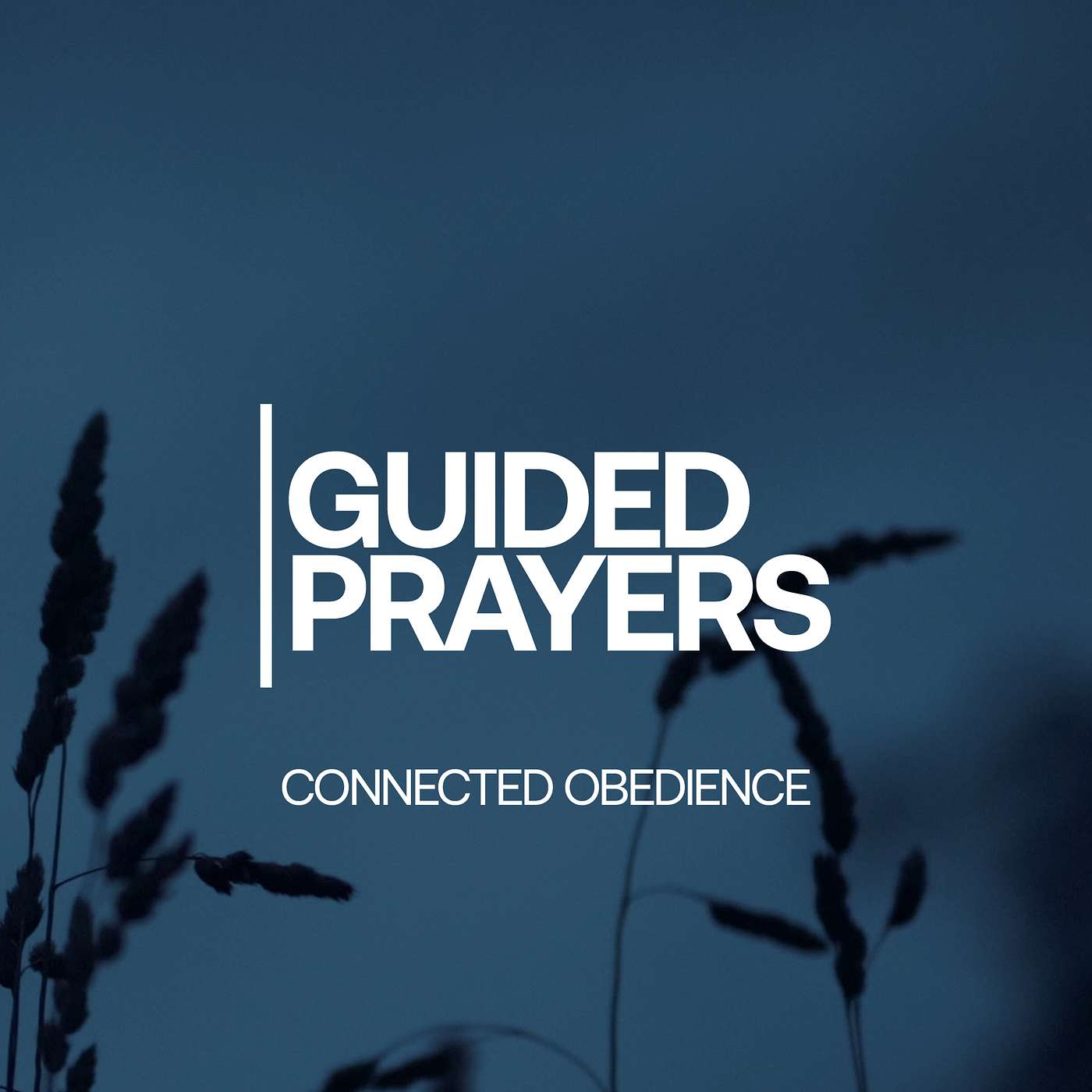Where Are You Being Invited To Trust And Follow? | Guided Prayers episode artwork