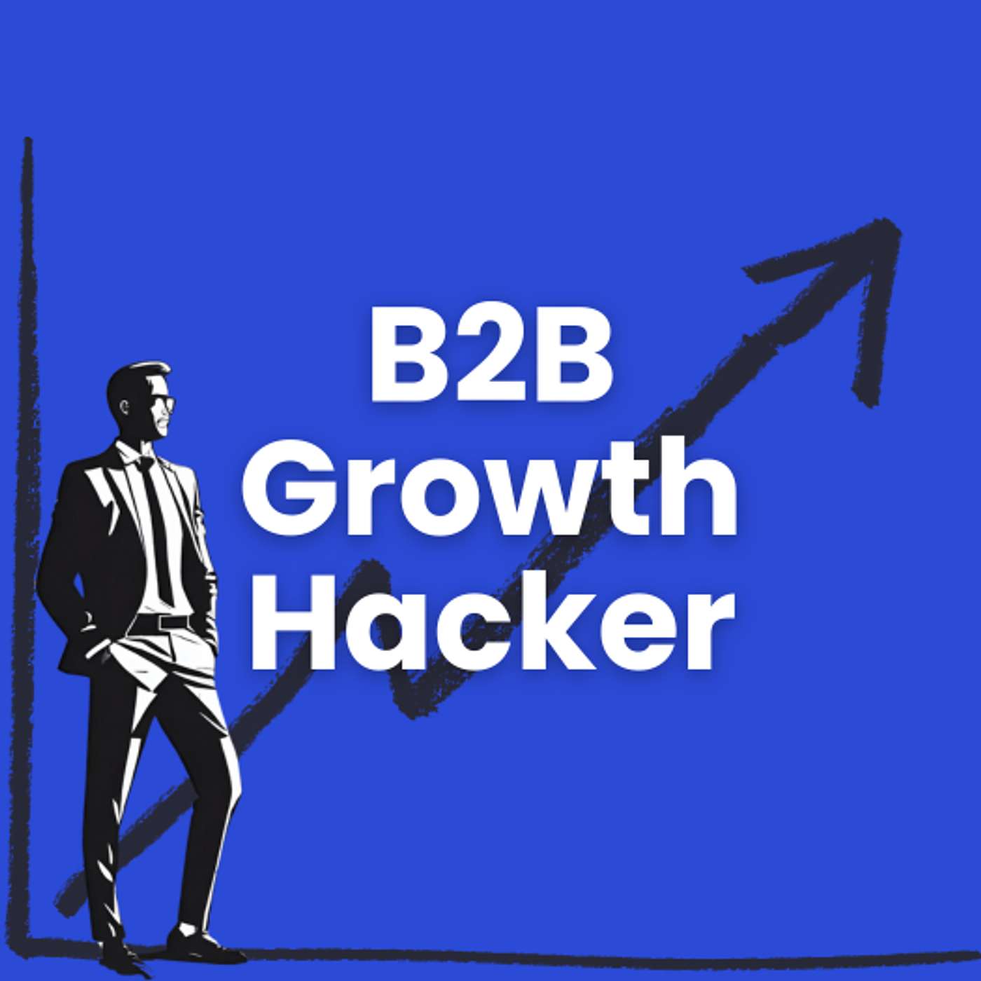 The B2B Growth Hacker
