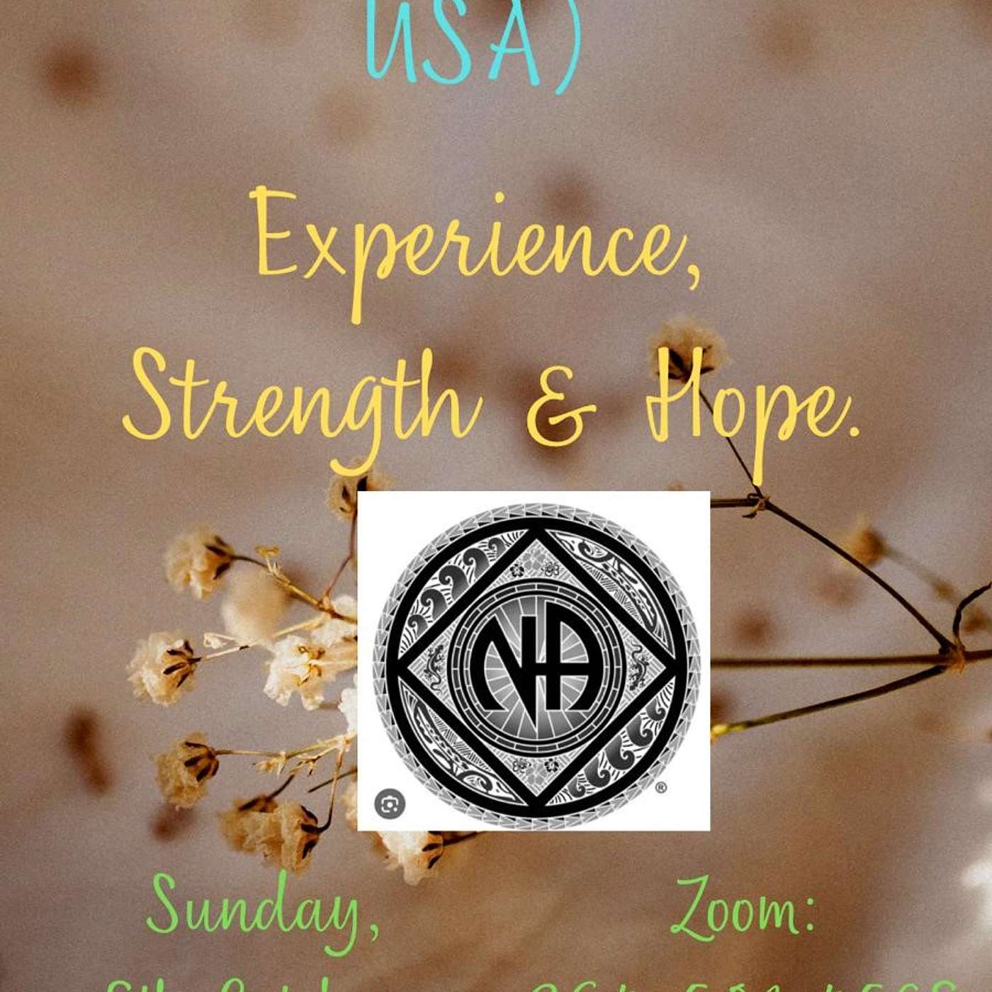 SD DON (San Diego, California, USA) Experience, Strenght and Hope episode artwork