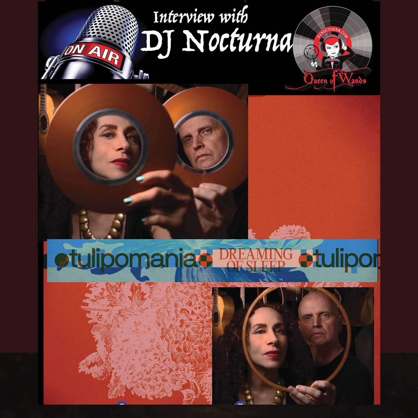 Philadelphia Art-Rock Duo, Music, Animation and Film, Tulipomania episode artwork