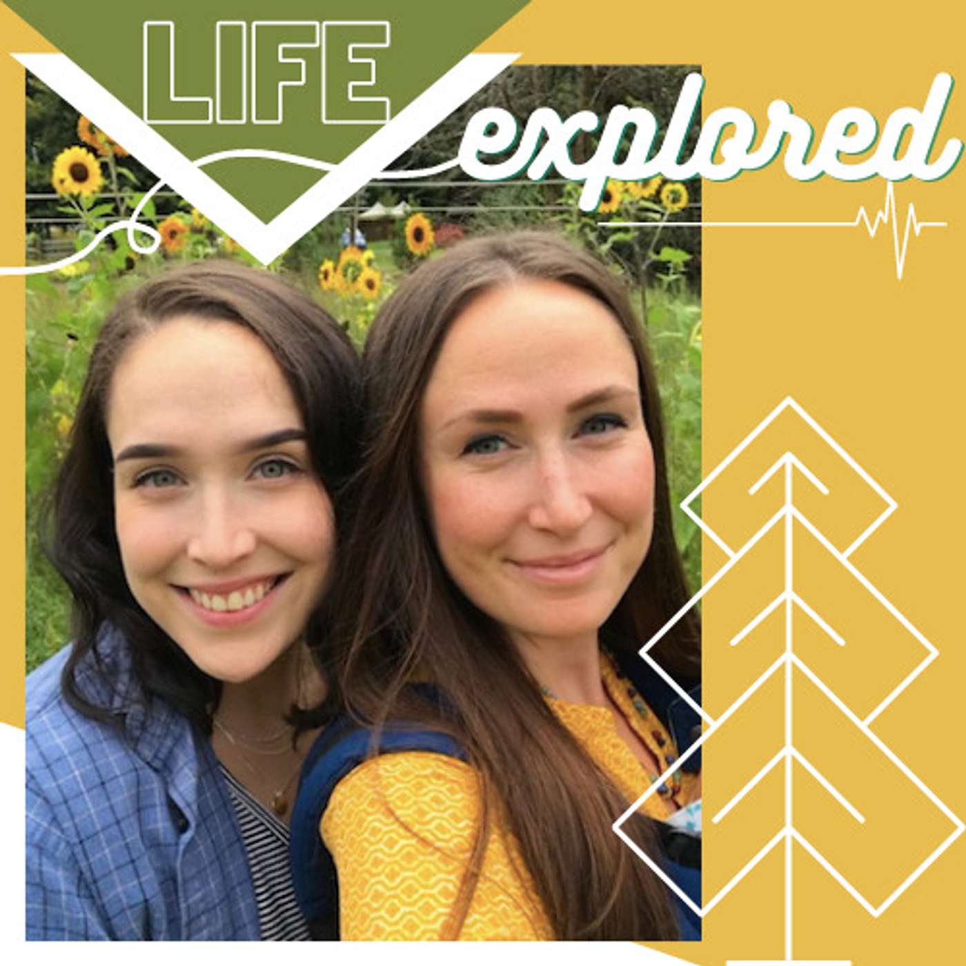 Life Explored