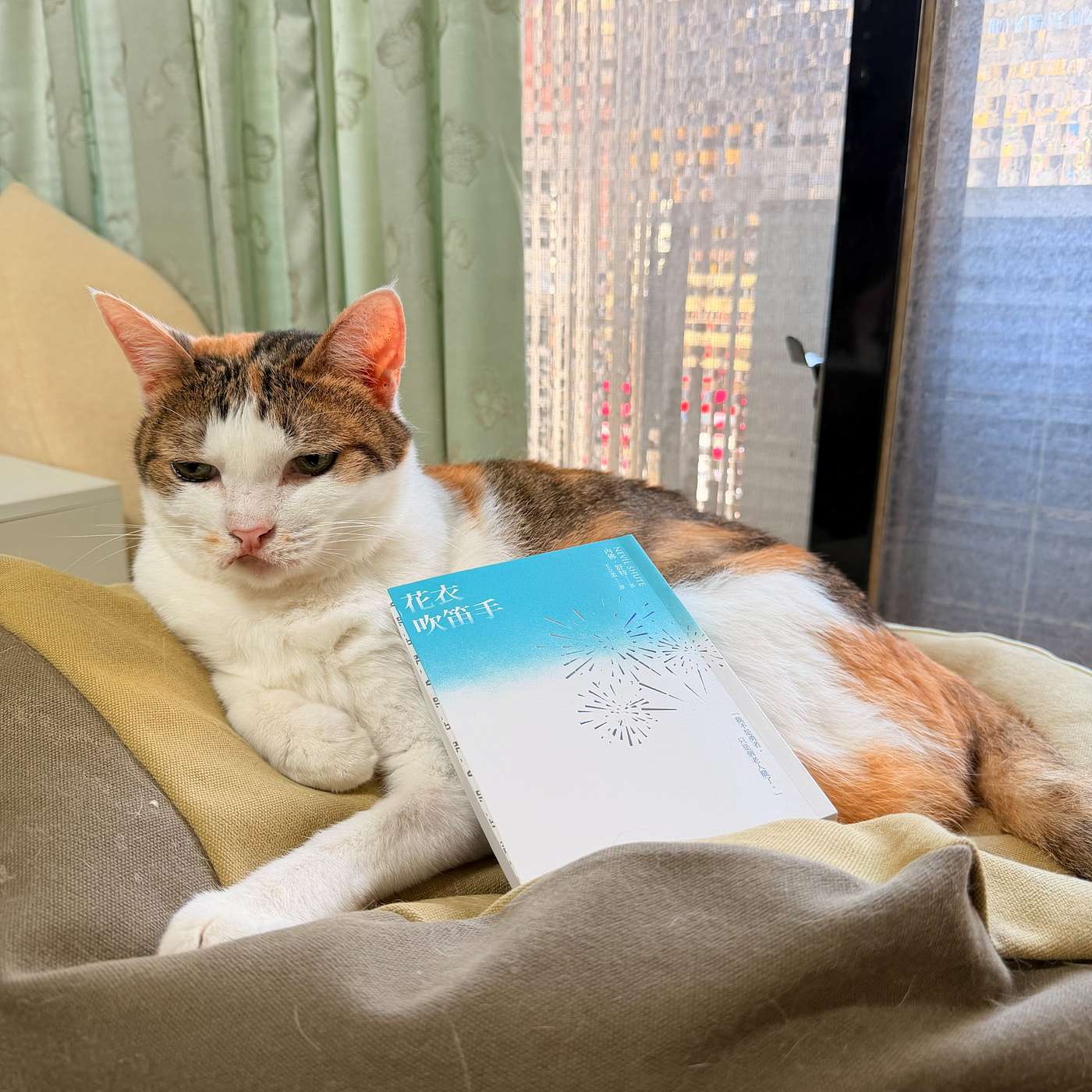 【書中自有黃金鮑EP110】召喚良善的笛聲——內佛．舒特，《花衣吹笛手》