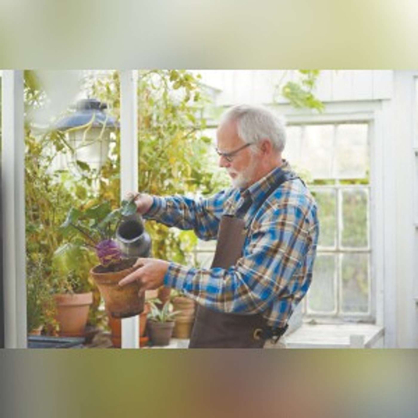 This year's Rodeo tomato is great for spring planting This year's Rodeo tomato is great for spring planting