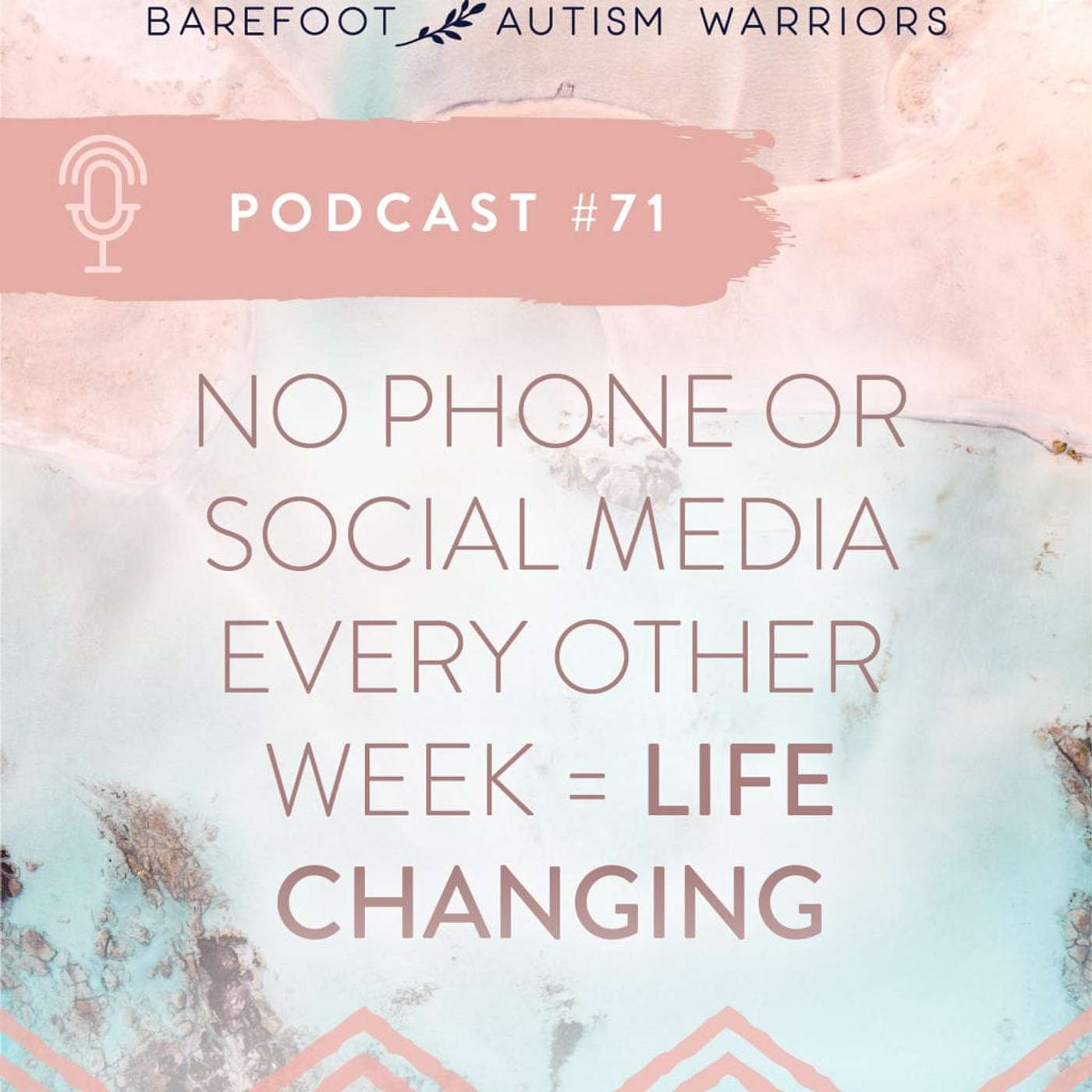 #71: NO PHONE OR SOCIAL MEDIA EVERY OTHER WEEK = LIFE-CHANGING. episode artwork