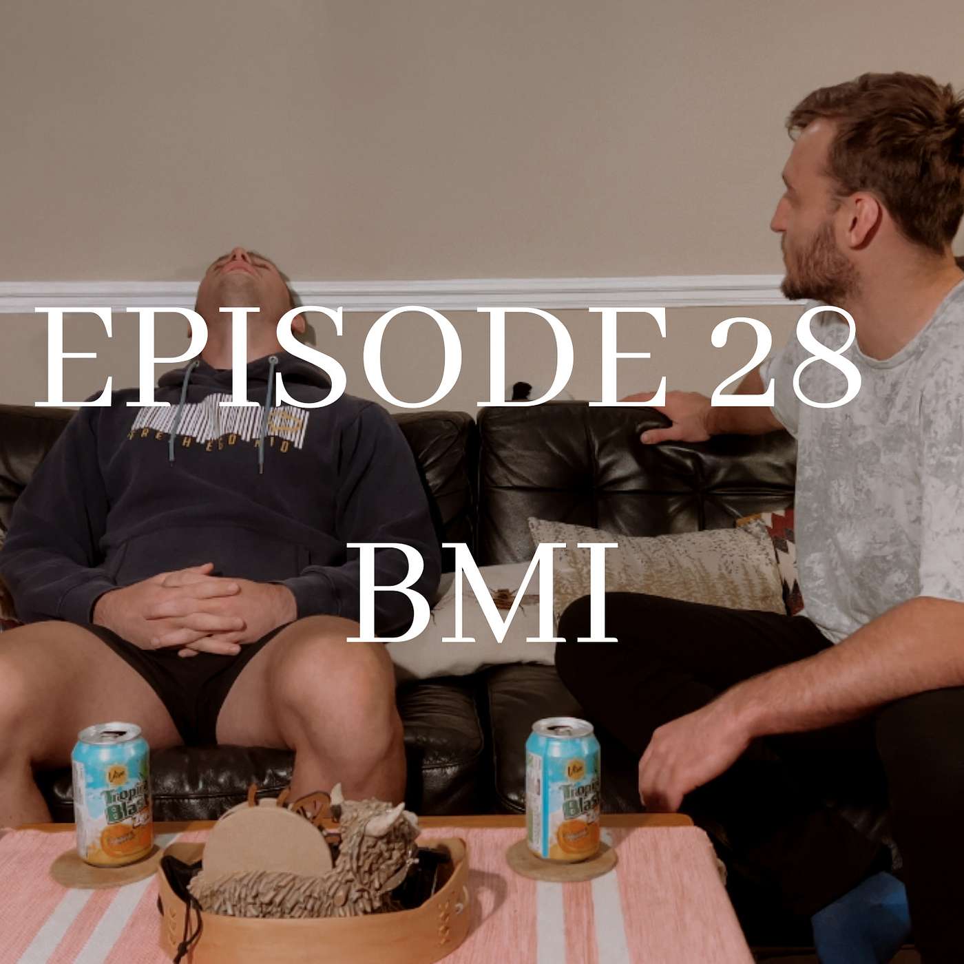 Episode 28 - BMI episode artwork