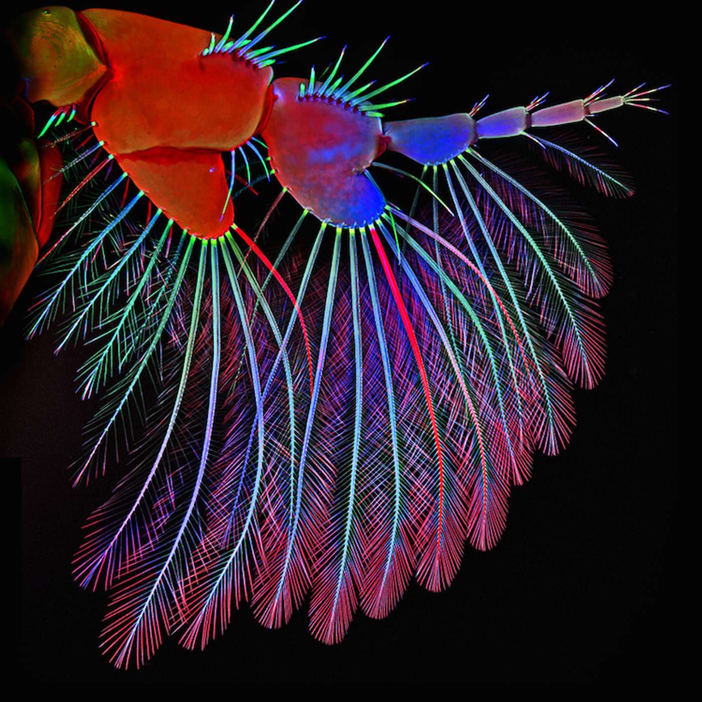 Conscious Living Conscious Dying 08 - Life - Meaning - Judgement, Shame & Guilt