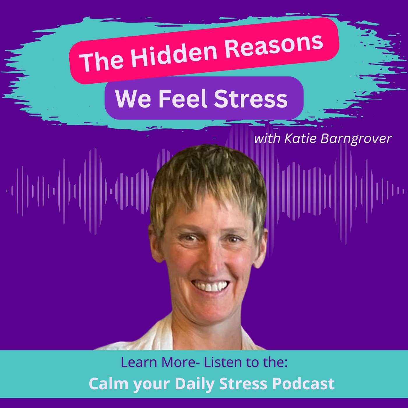 E249 The Hidden Reasons We Feel Stress with Katie Barngrover