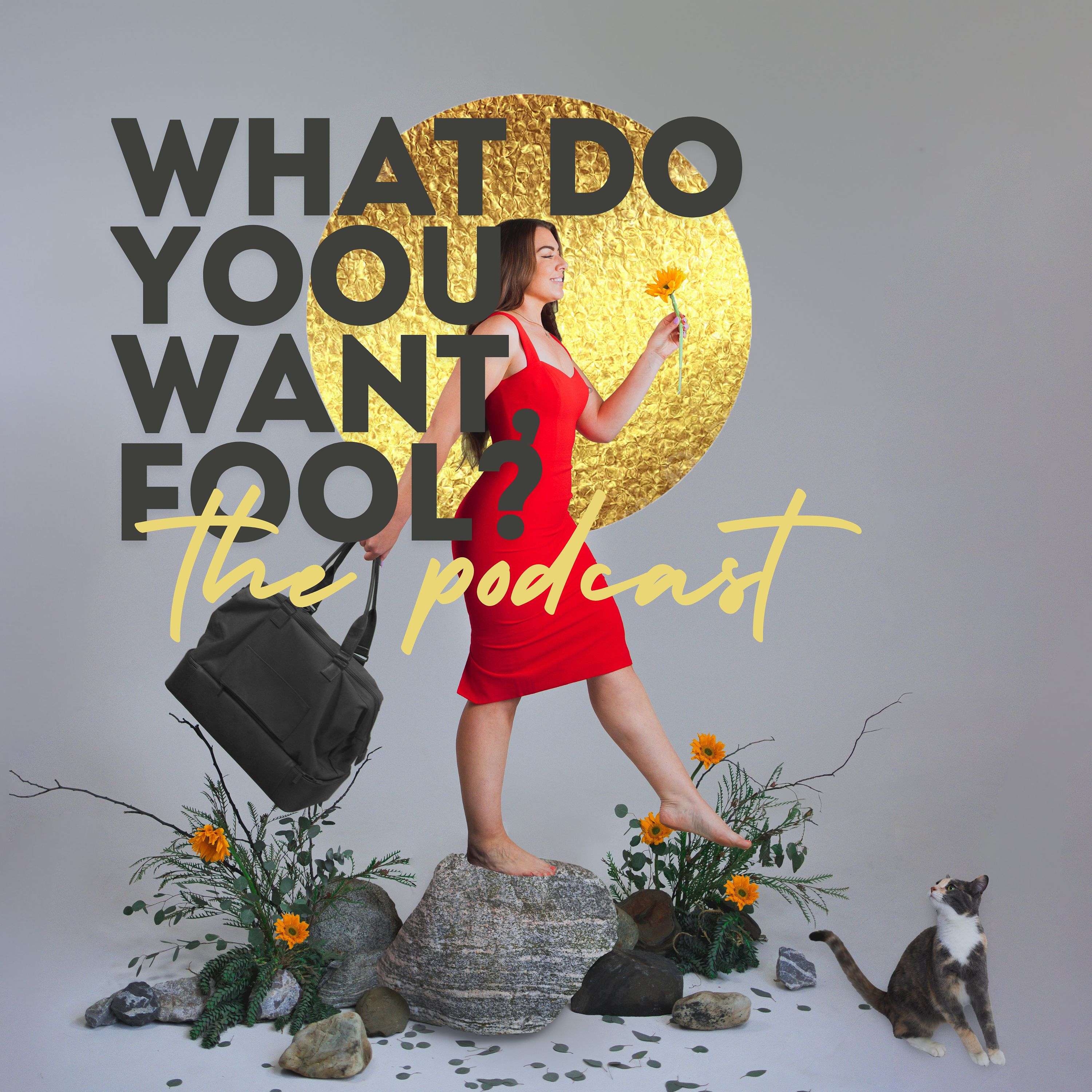 What do you want, fool? The Podcast