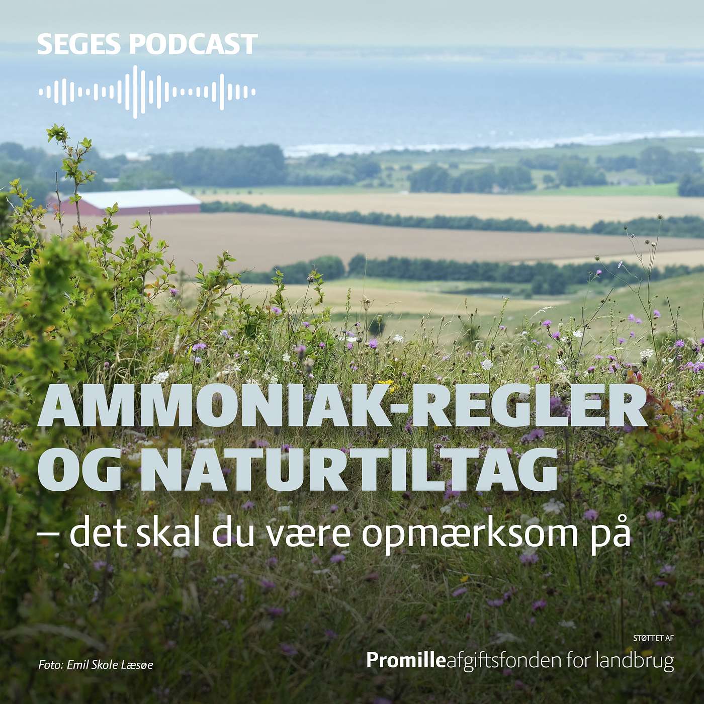 Vær opmærksom på ammoniak-reglerne, når du laver god natur Vær opmærksom på ammoniak-reglerne, når du laver god natur