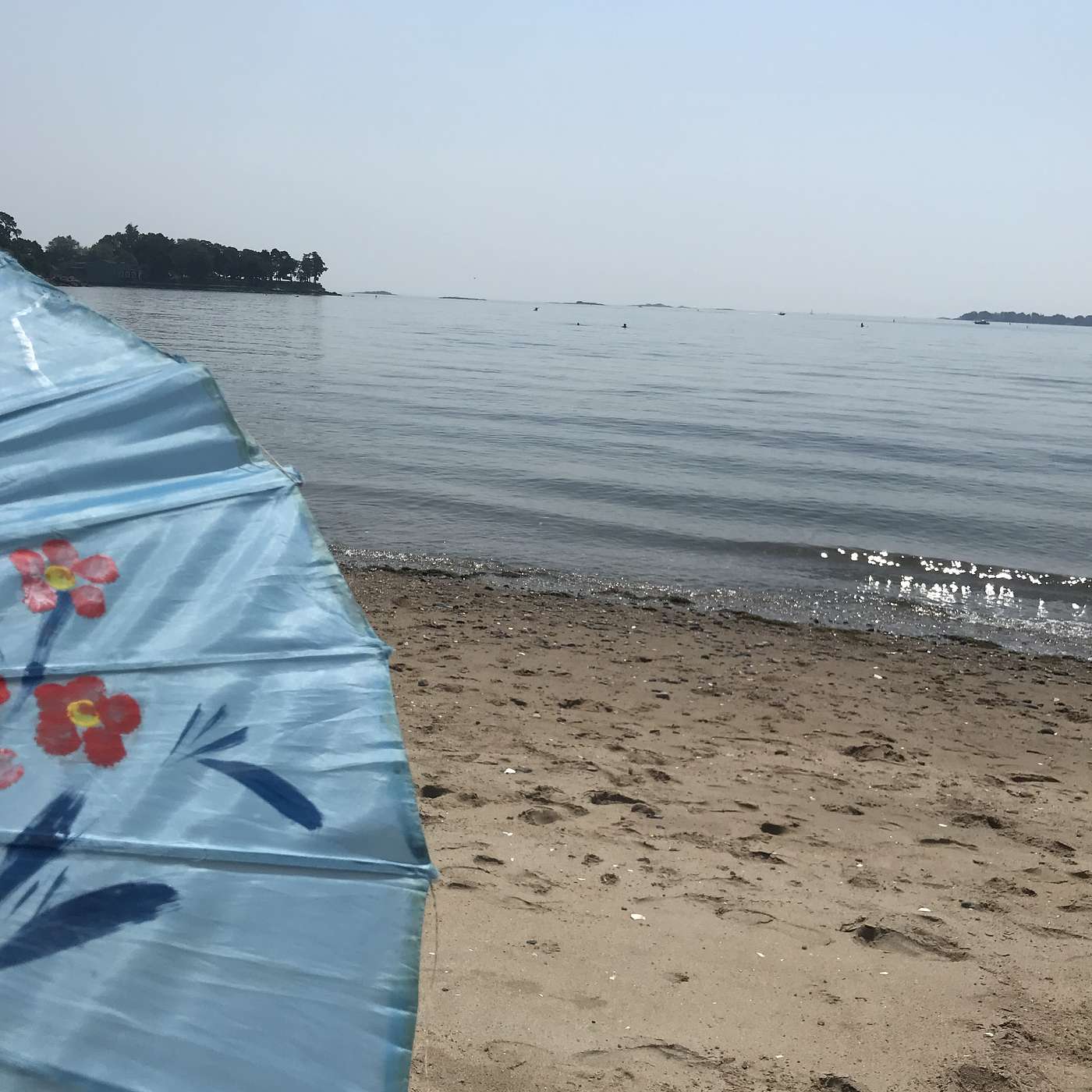 38th Stop, Dane Street Beach, July 27 2021 11:30