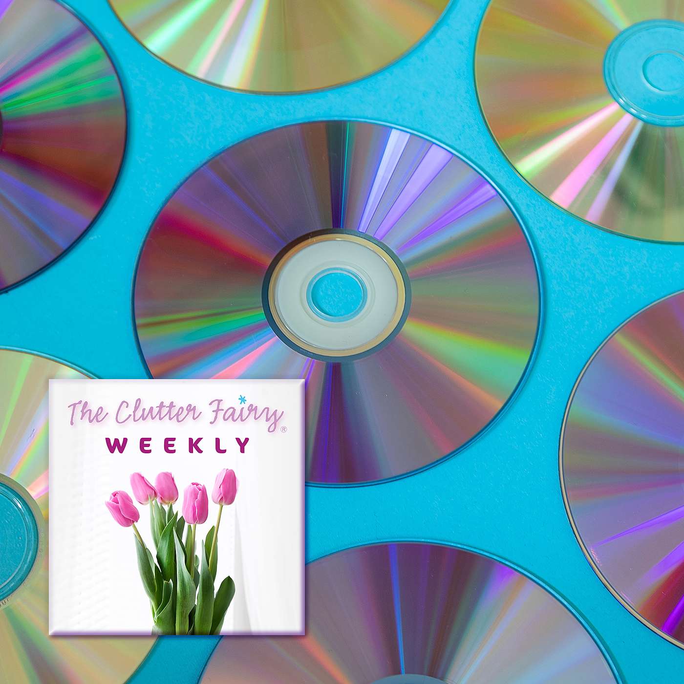 How We Define “Organized” | Answering Your Decluttering Naysayers - The Clutter Fairy Weekly #265
