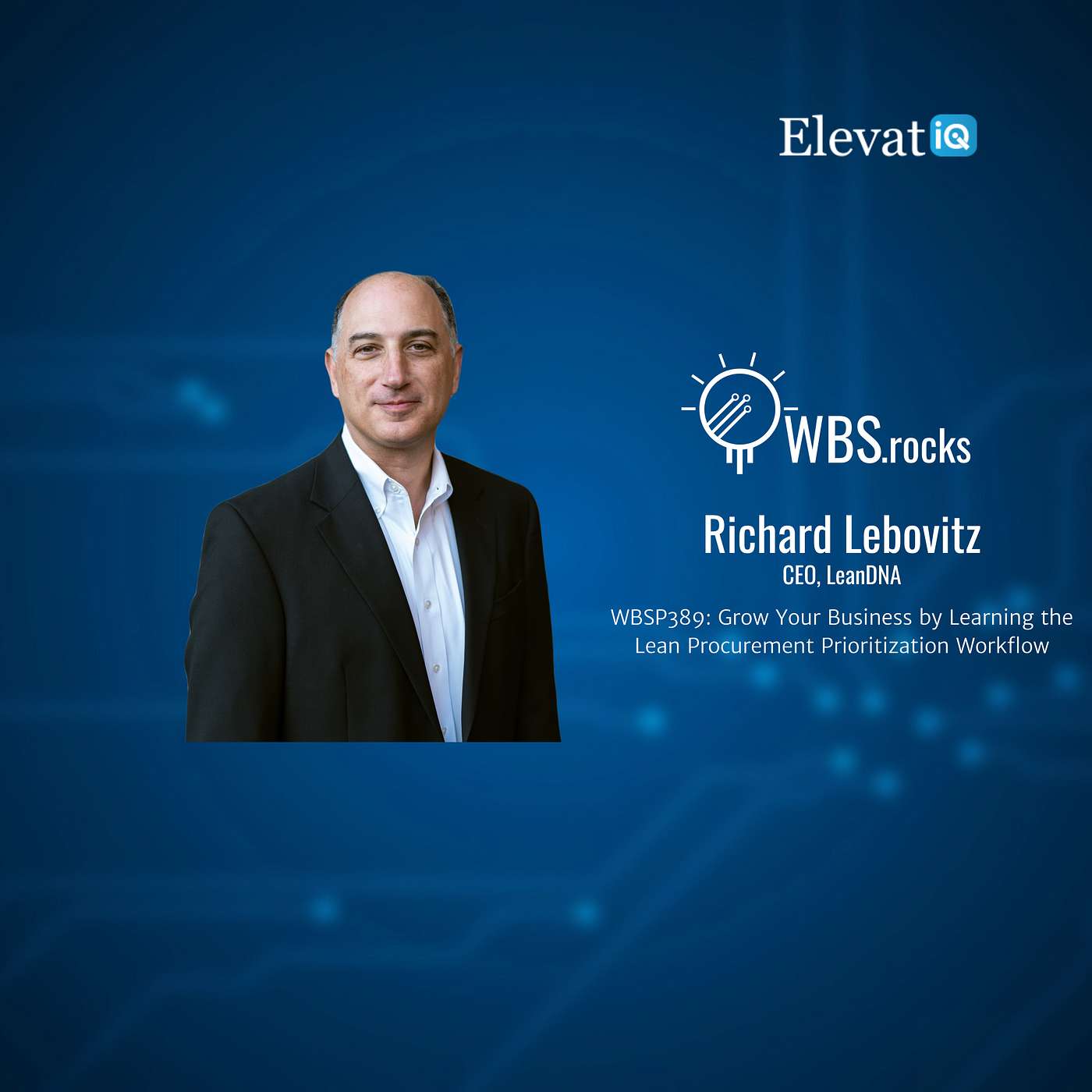WBSP389: Grow Your Business by Learning the Lean Procurement Prioritization Workflow w/ Richard Lebovitz