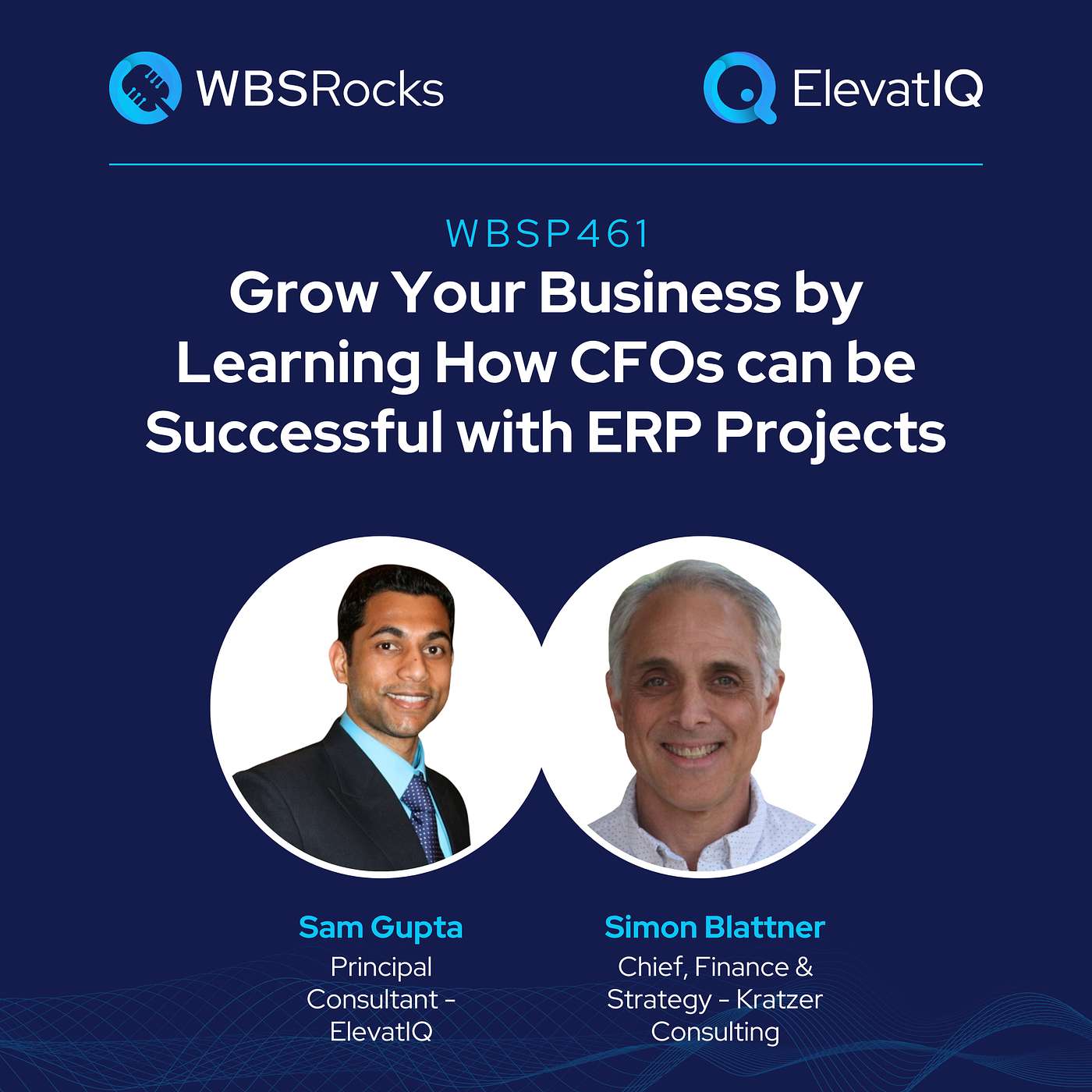WBSP461: Grow Your Business by Learning How CFOs can be Successful with ERP Projects w/ Buddy Blattner