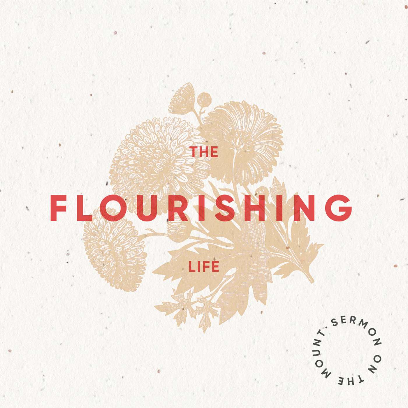 The Flourishing Life | Matthew 5:1-2 episode artwork