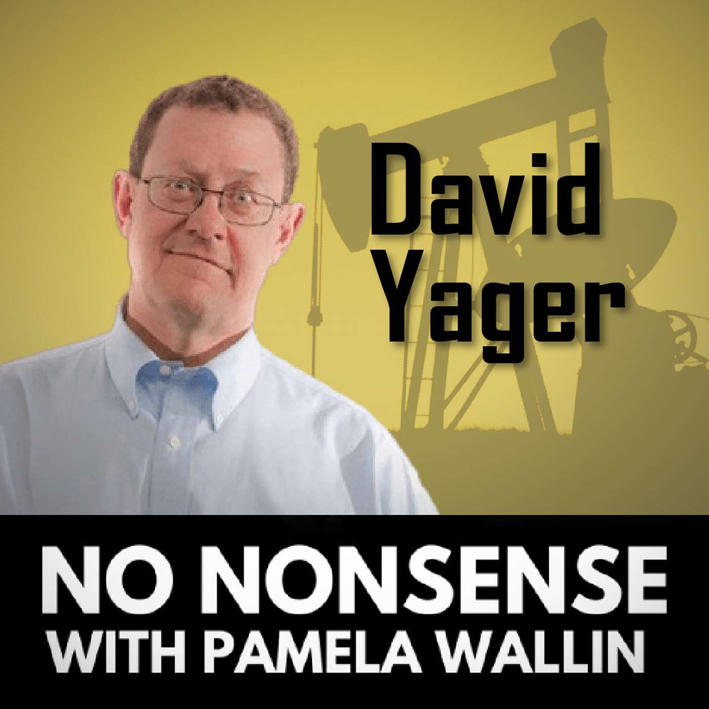 The Energy Crisis with David Yager