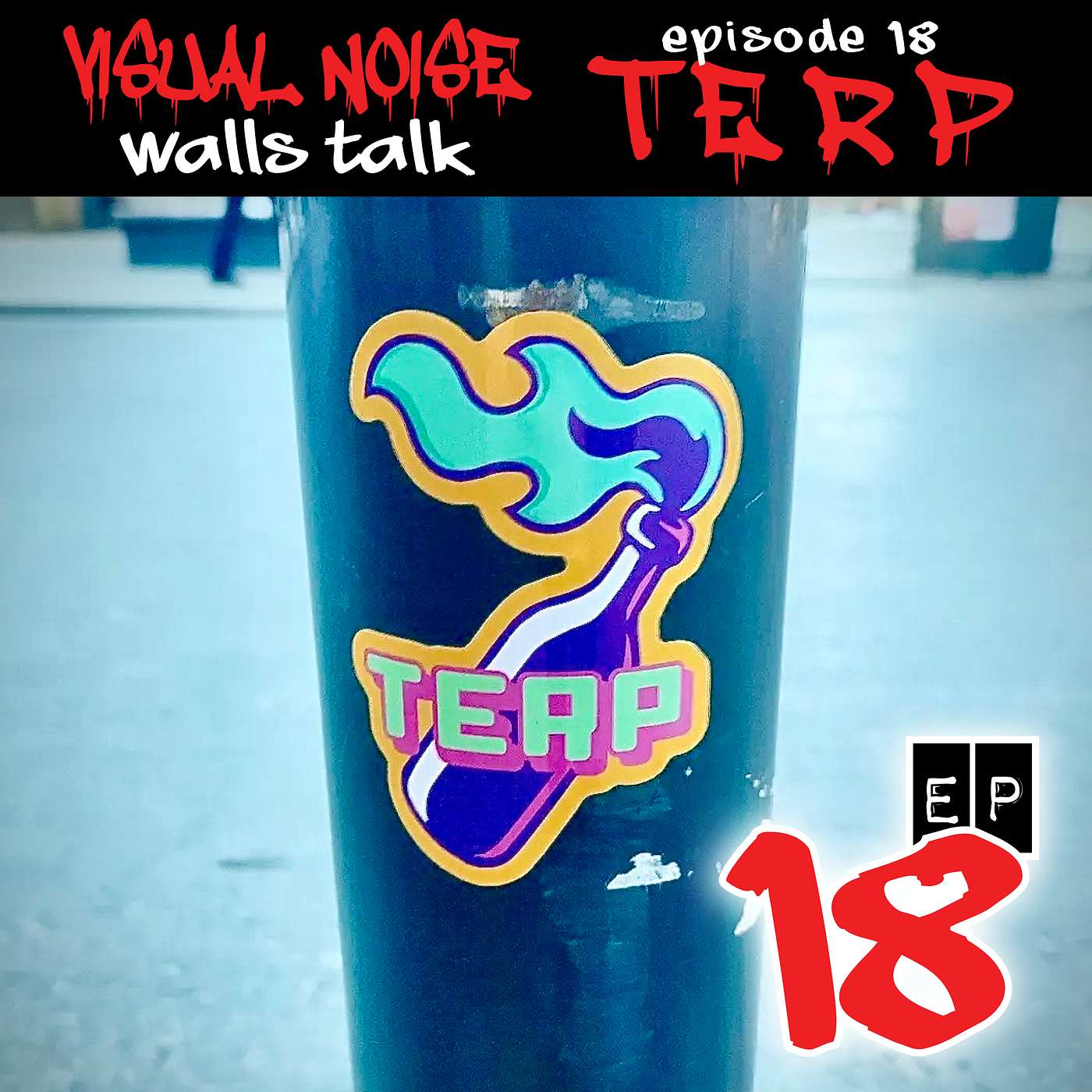Visual Noise: Walls Talk - TERP