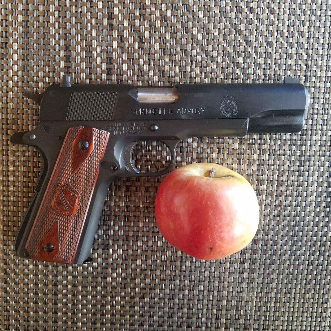 Teacher Tails - Karrer Shorts