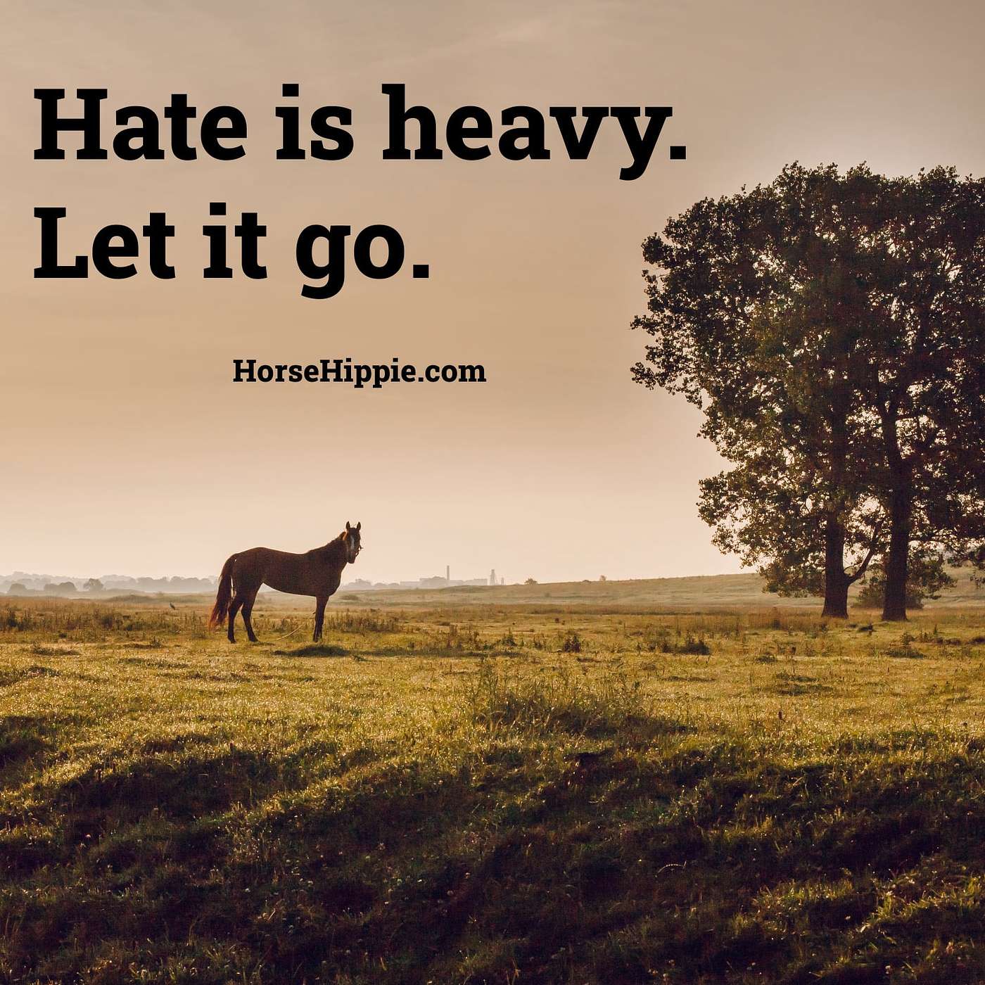 Let Go of Hate
