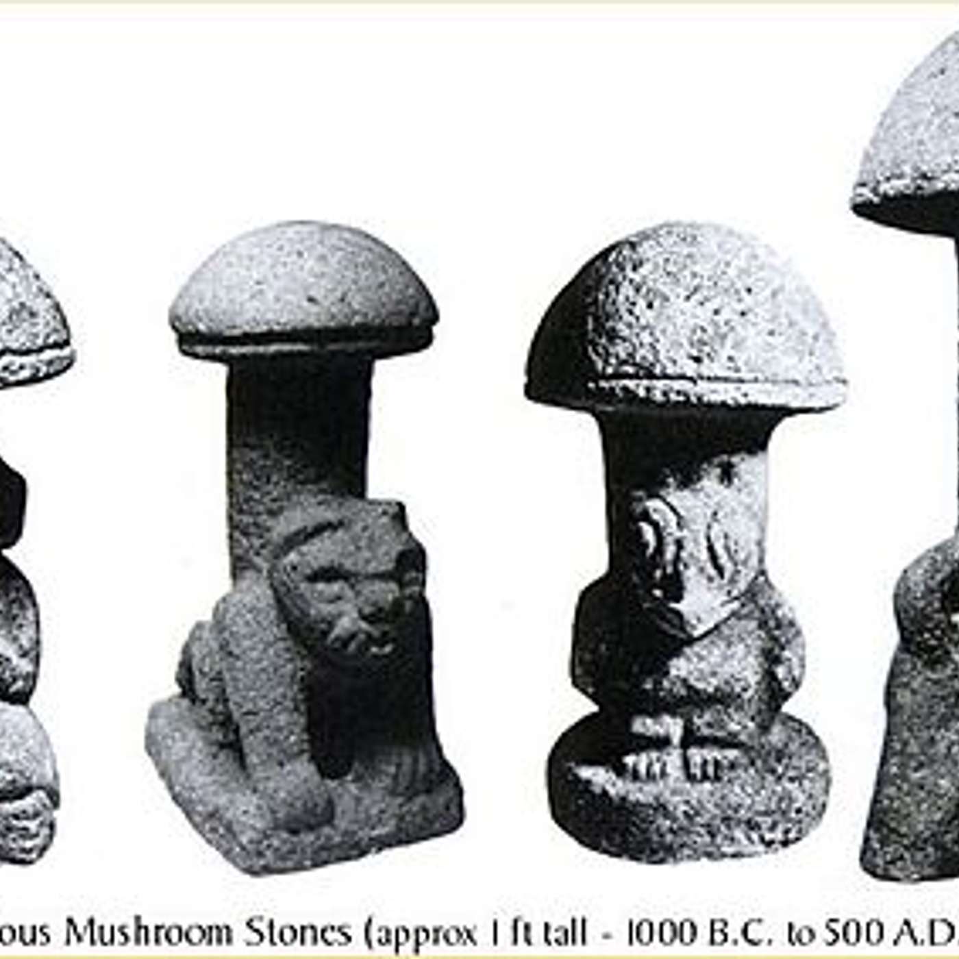 33. Hallucinogenic Psilocybin Mushrooms