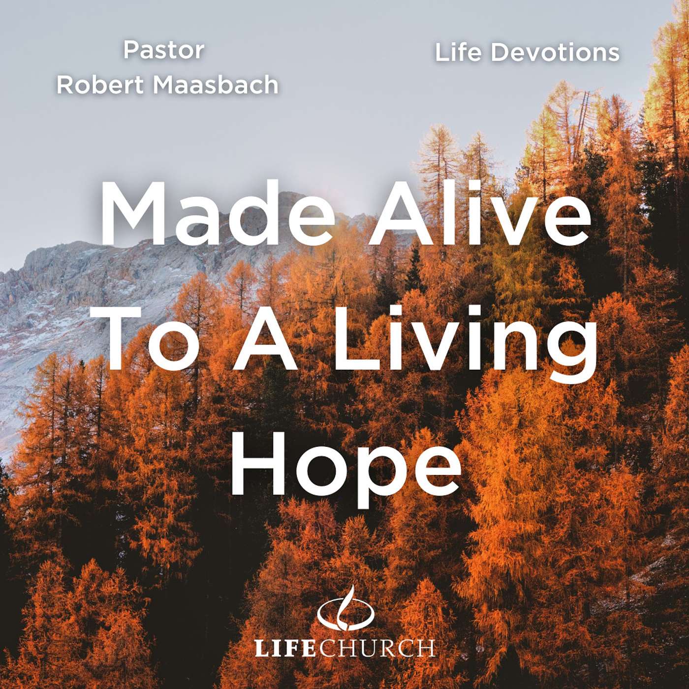 Made Alive To A Living Hope - 11.11.23