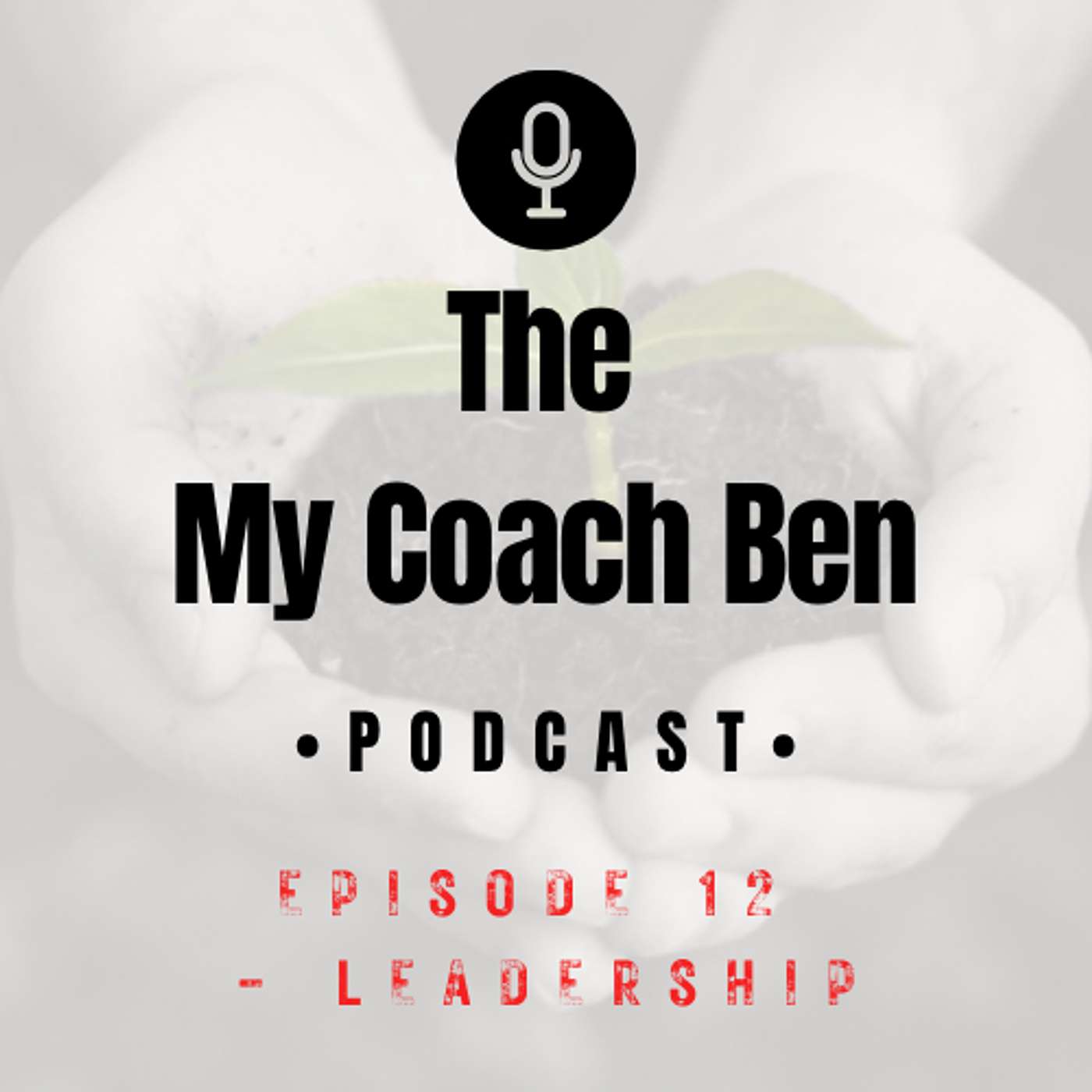 Leadership: Career Development A to Z episode artwork