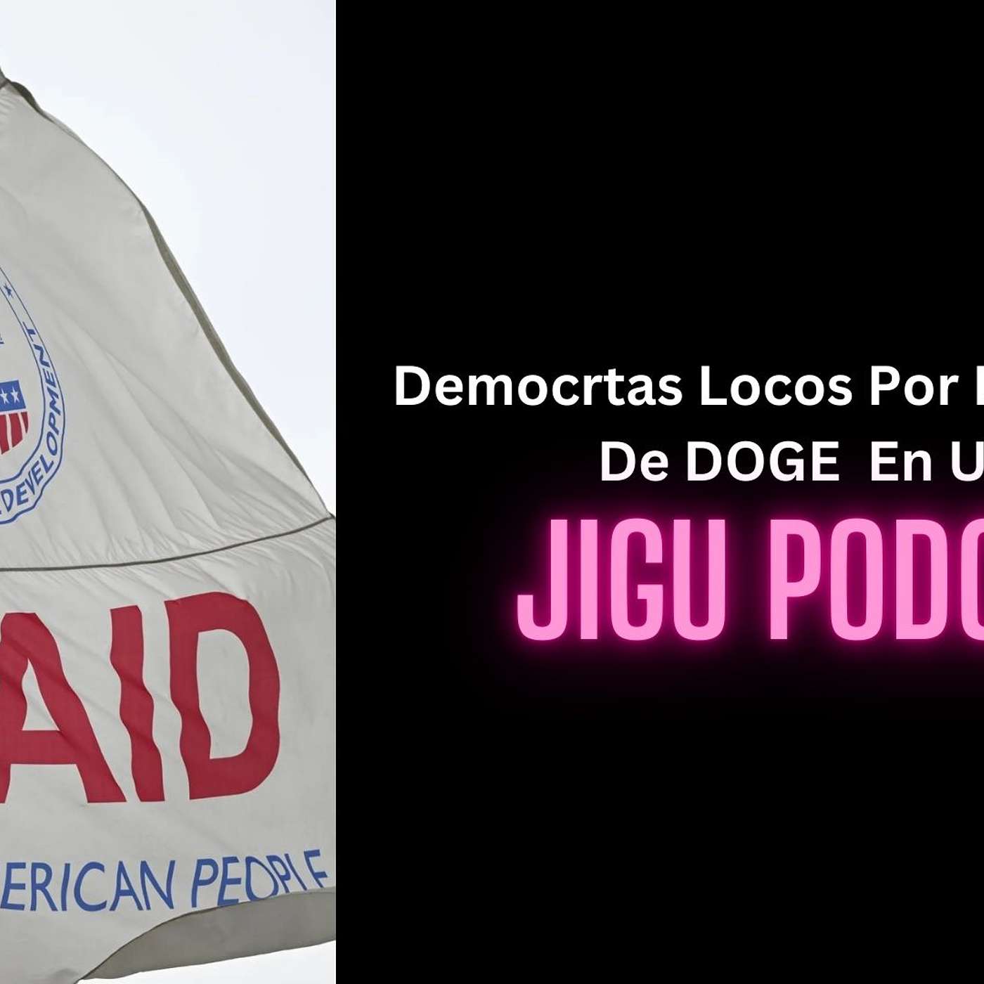 Democratas Locos Por Los Allasgos  De DOGE  En USAID