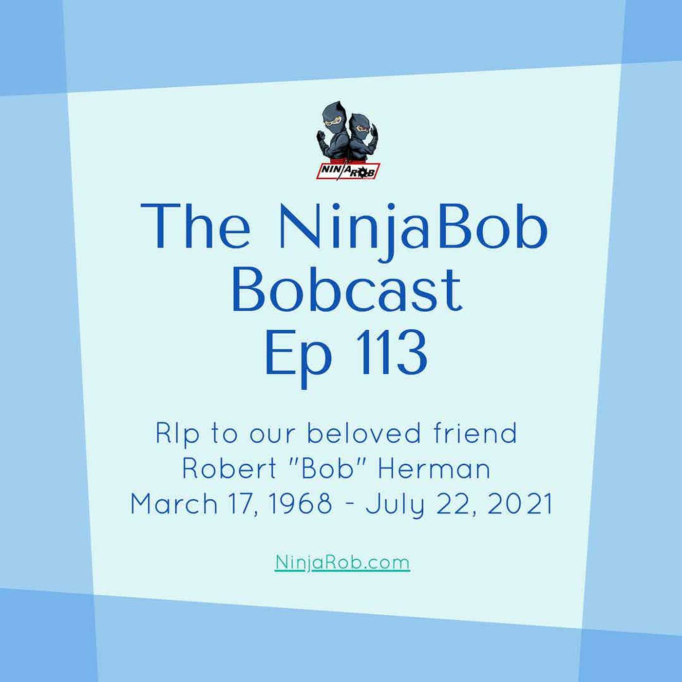 The NinjaBob Bobcast