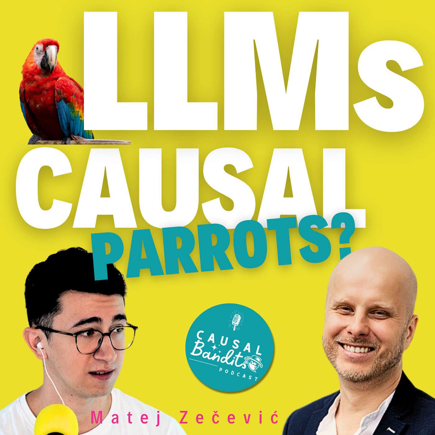 Causal Bandits Podcast