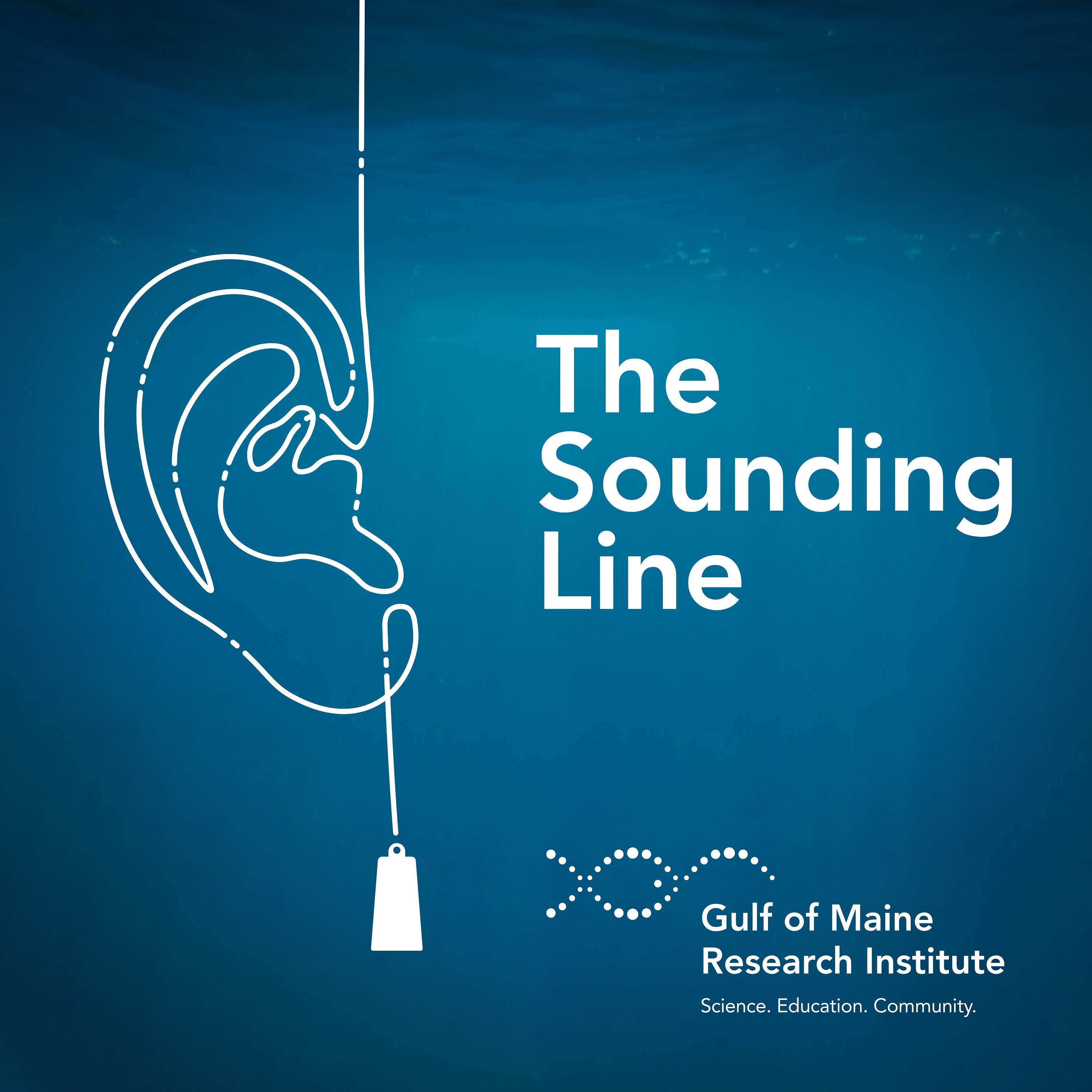 The Sounding Line