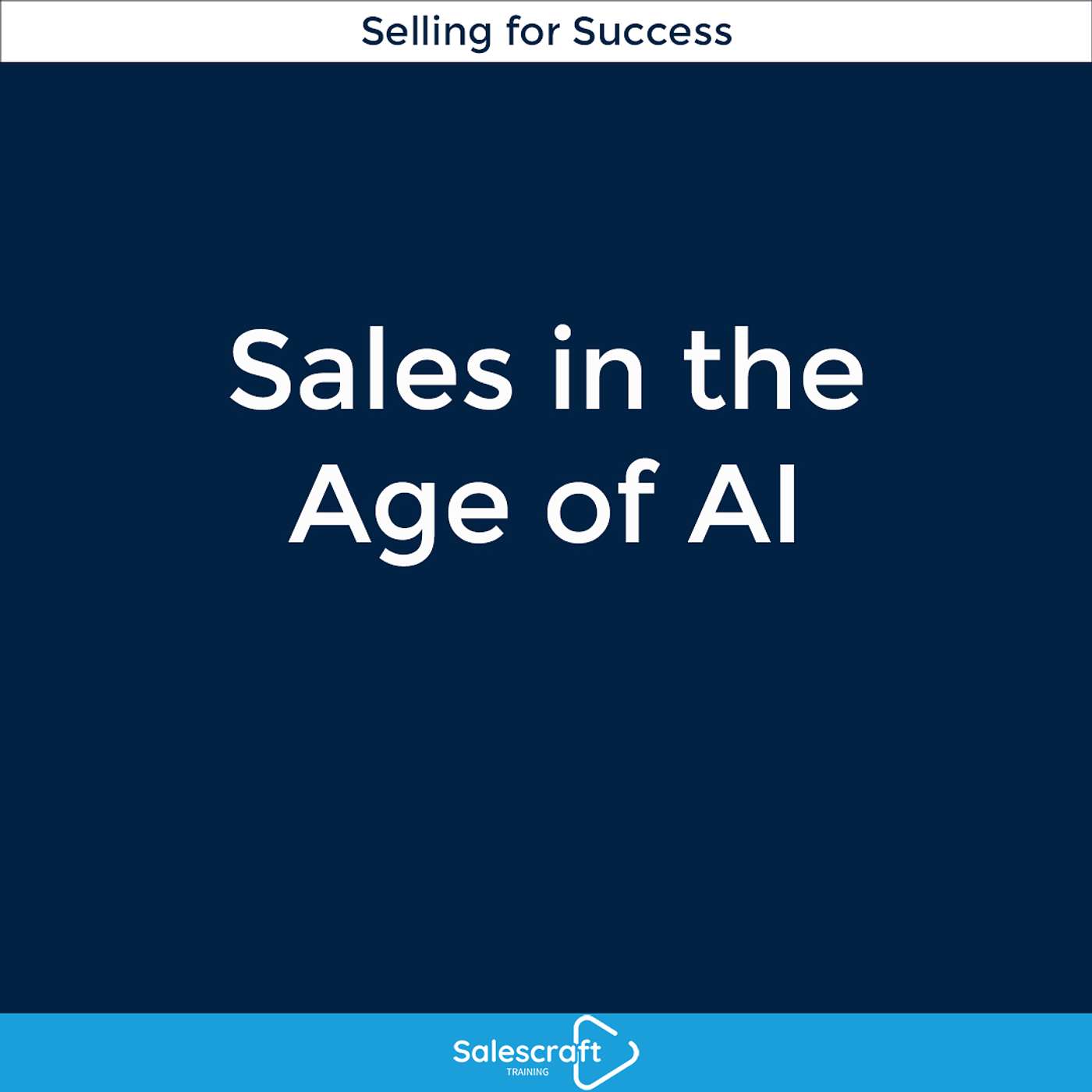 Salescraft Training: Selling for success