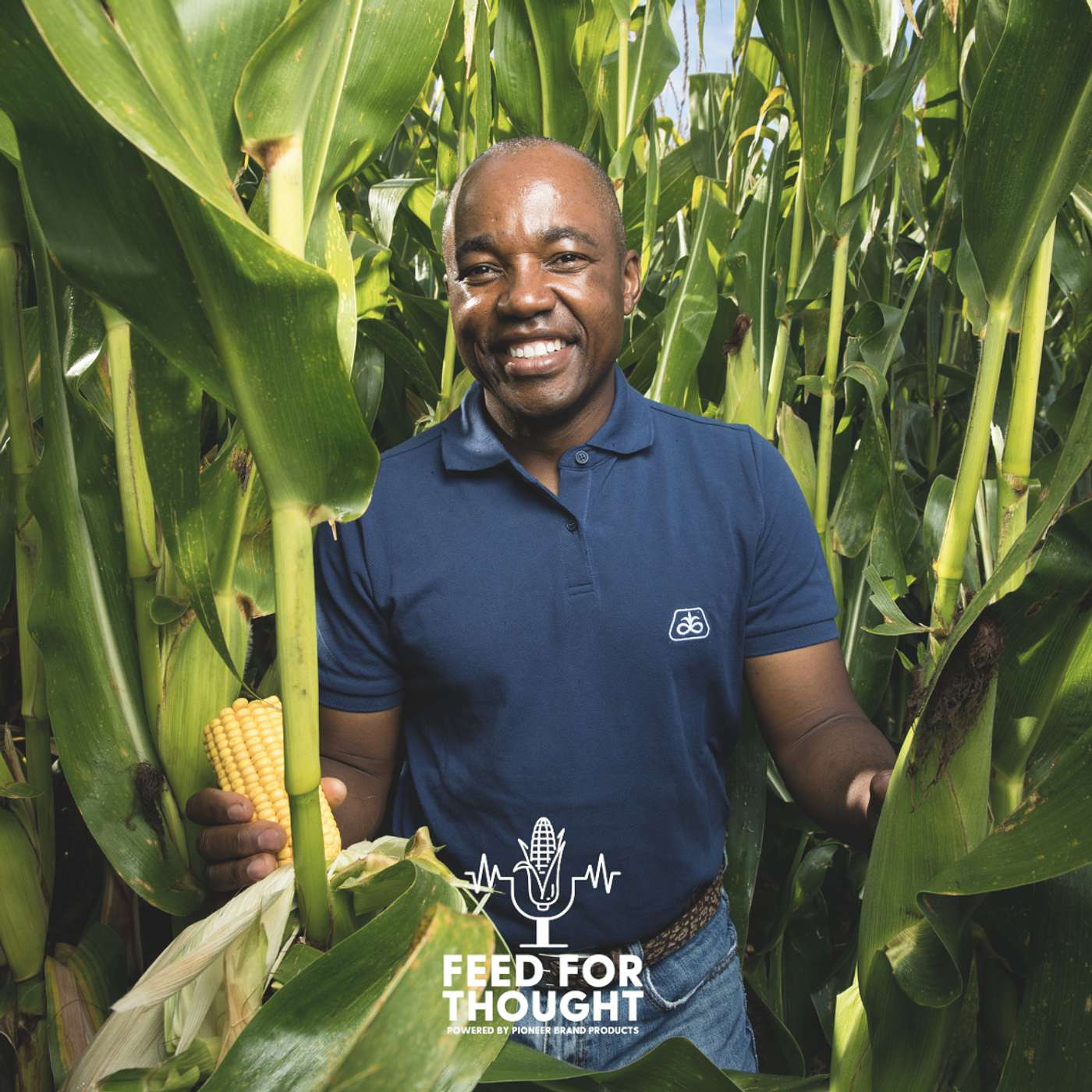 Setting your maize crop up for success with Dr Rowland Tsimba