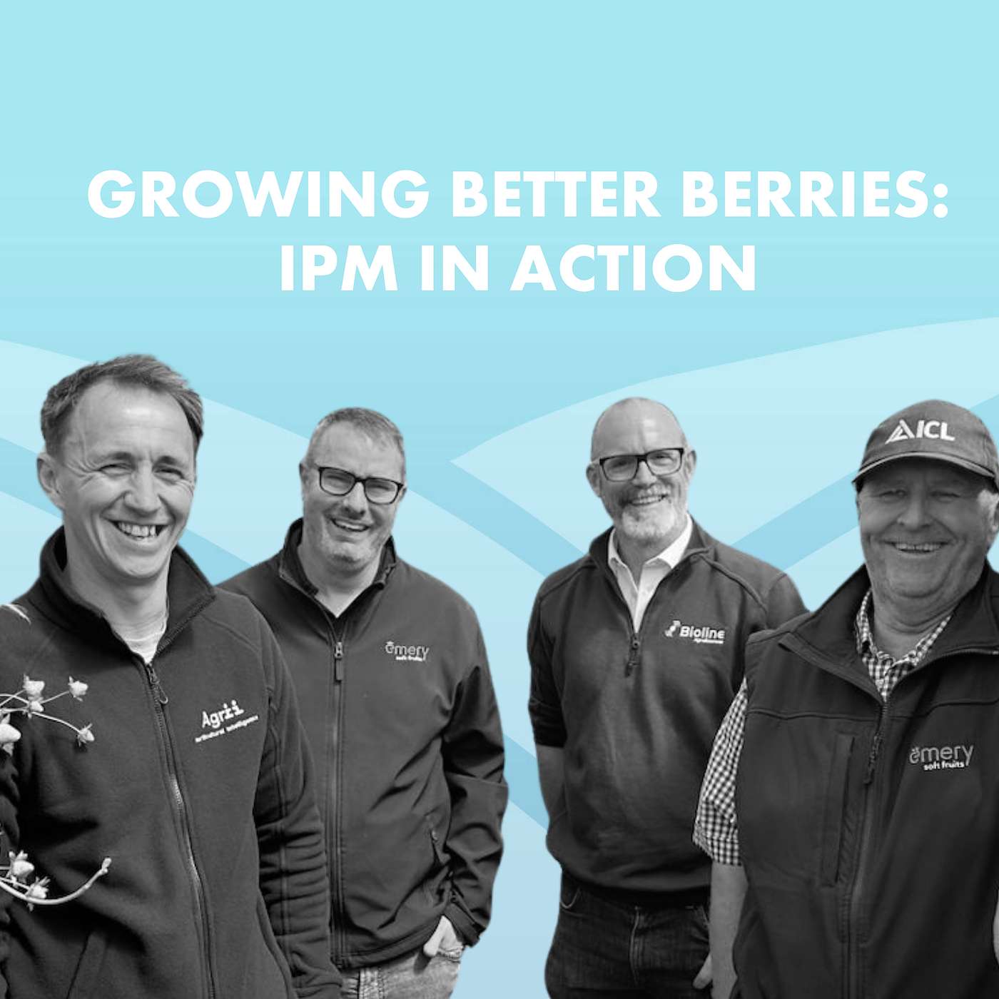 Growing Better Berries: Integrated Pest Management in Action episode artwork