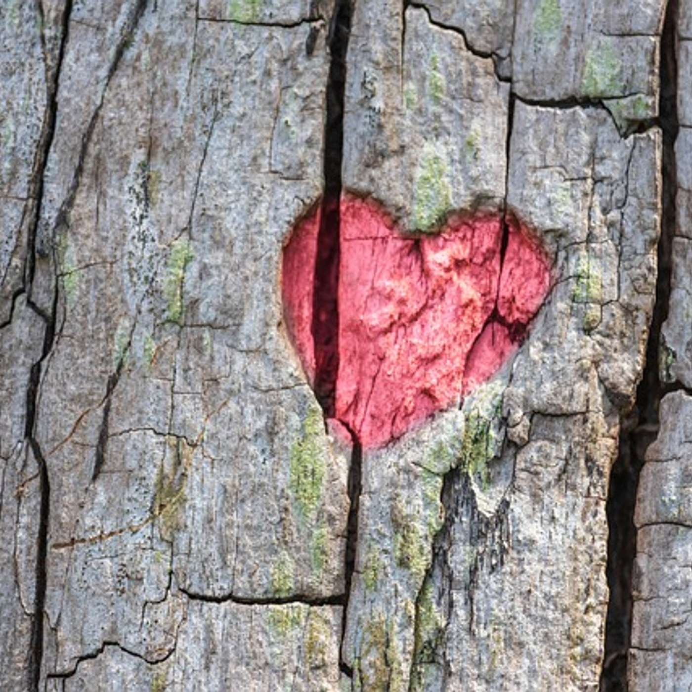 Choosing a Partner: Knowing Yourself