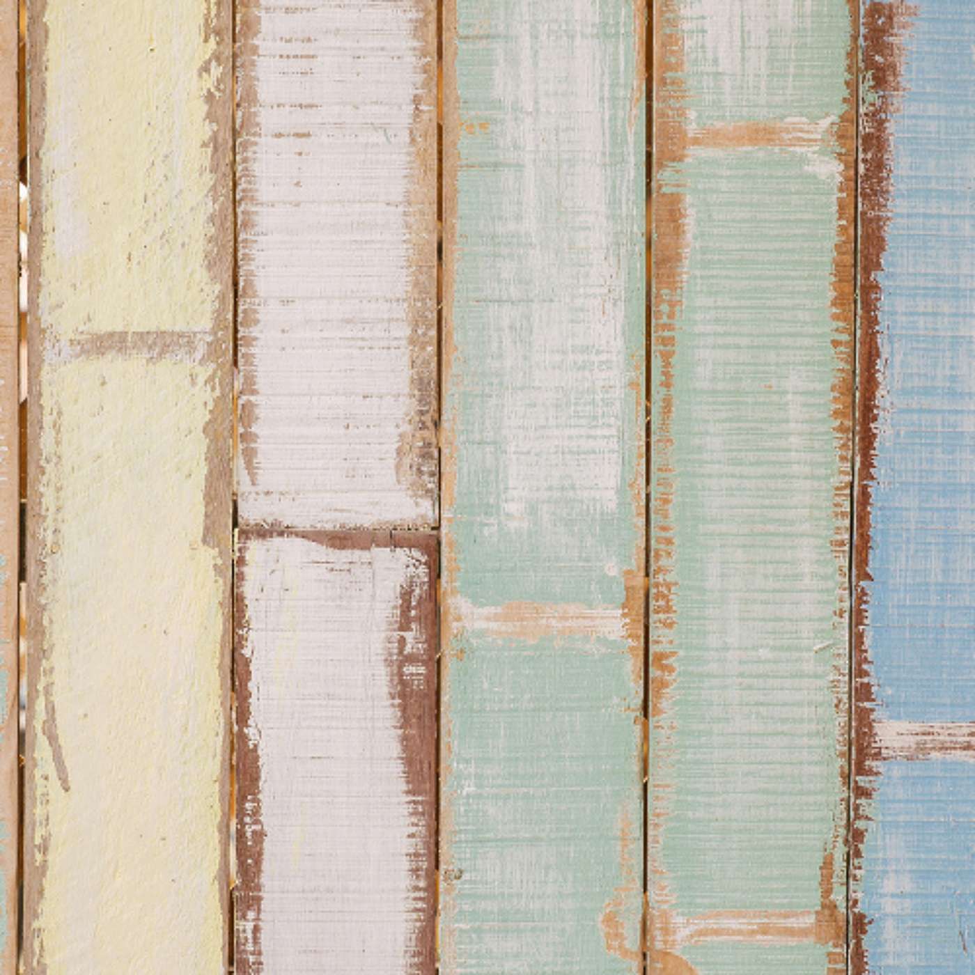 Empower Students Now