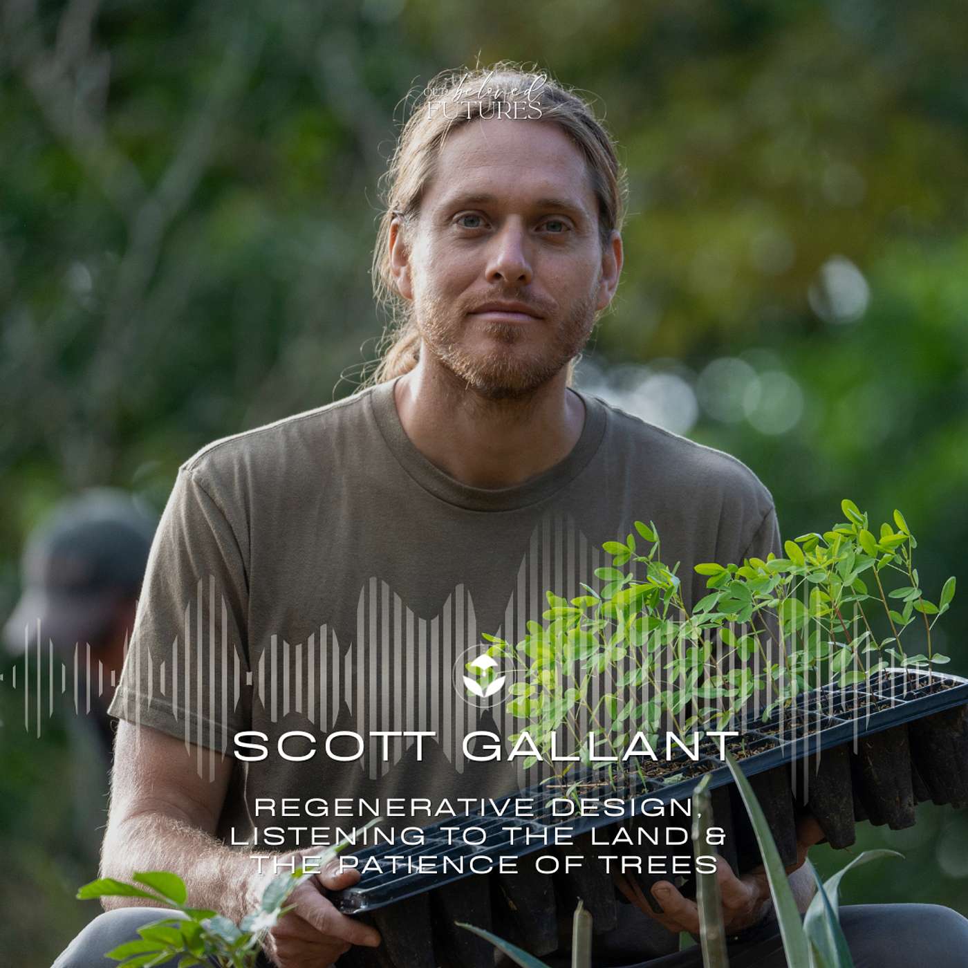 S2 E24 | Scott Gallant – Regenerative Design, Listening to the Land & the Patience of Trees