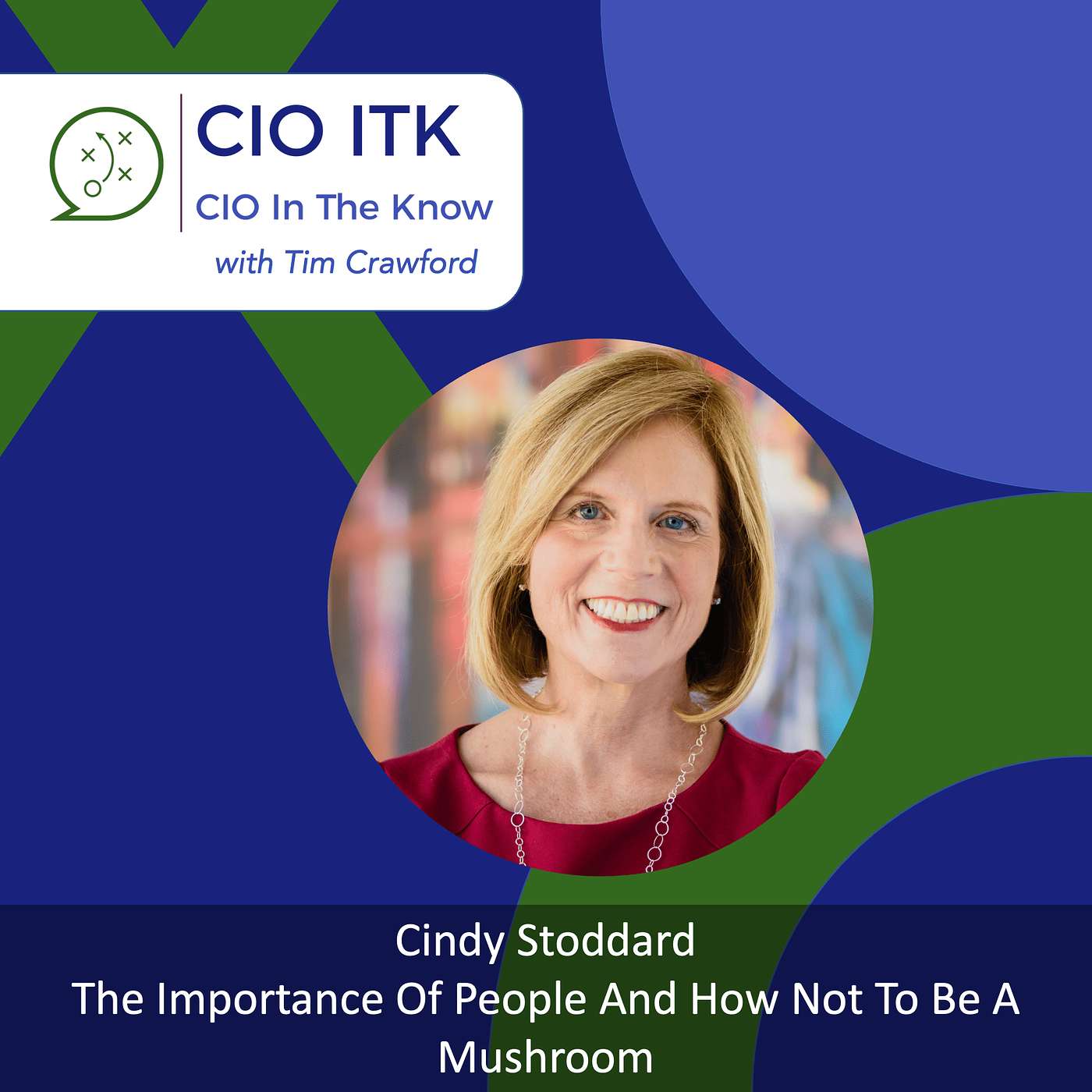 The CIO In The Know Podcast