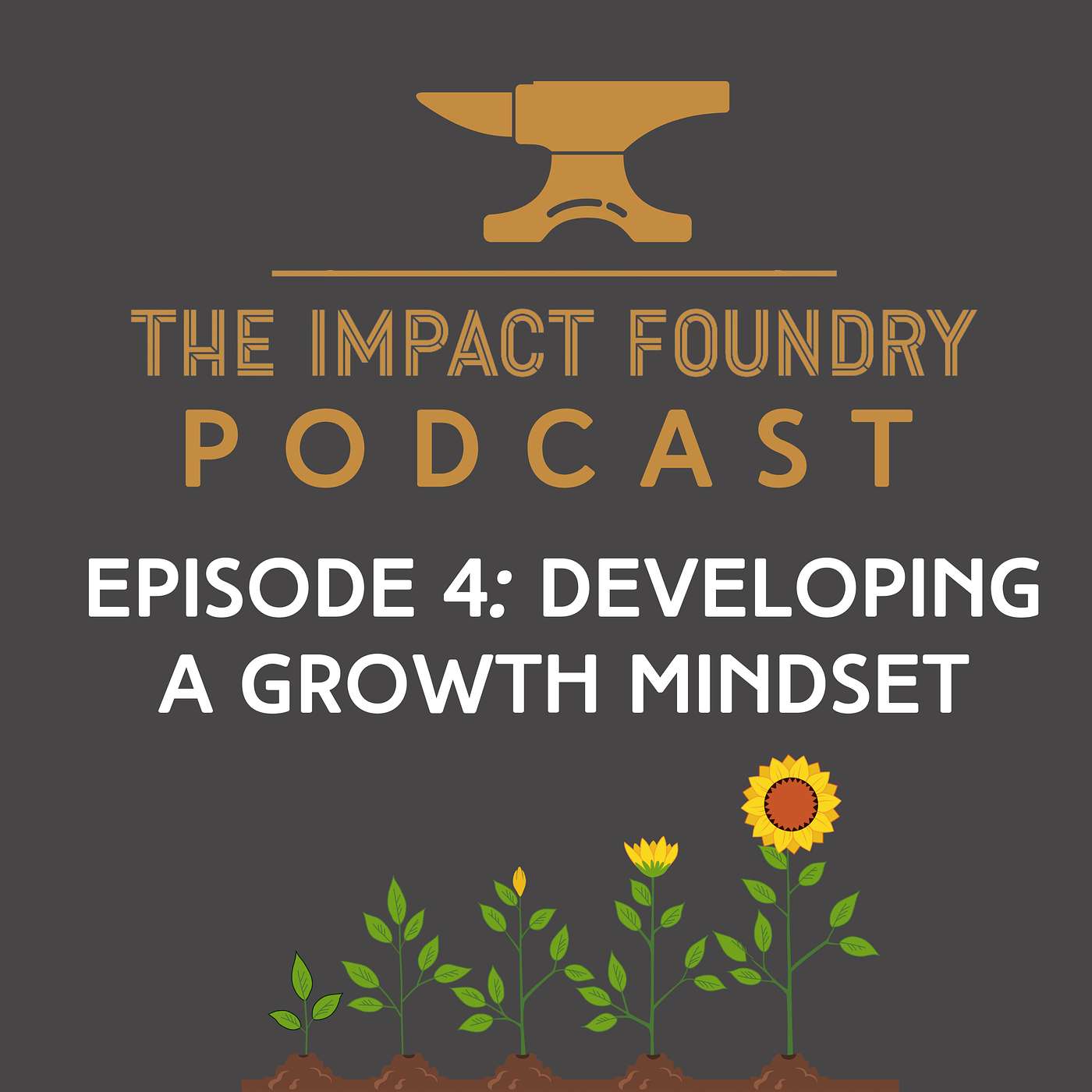 E4: Developing a Growth Mindset