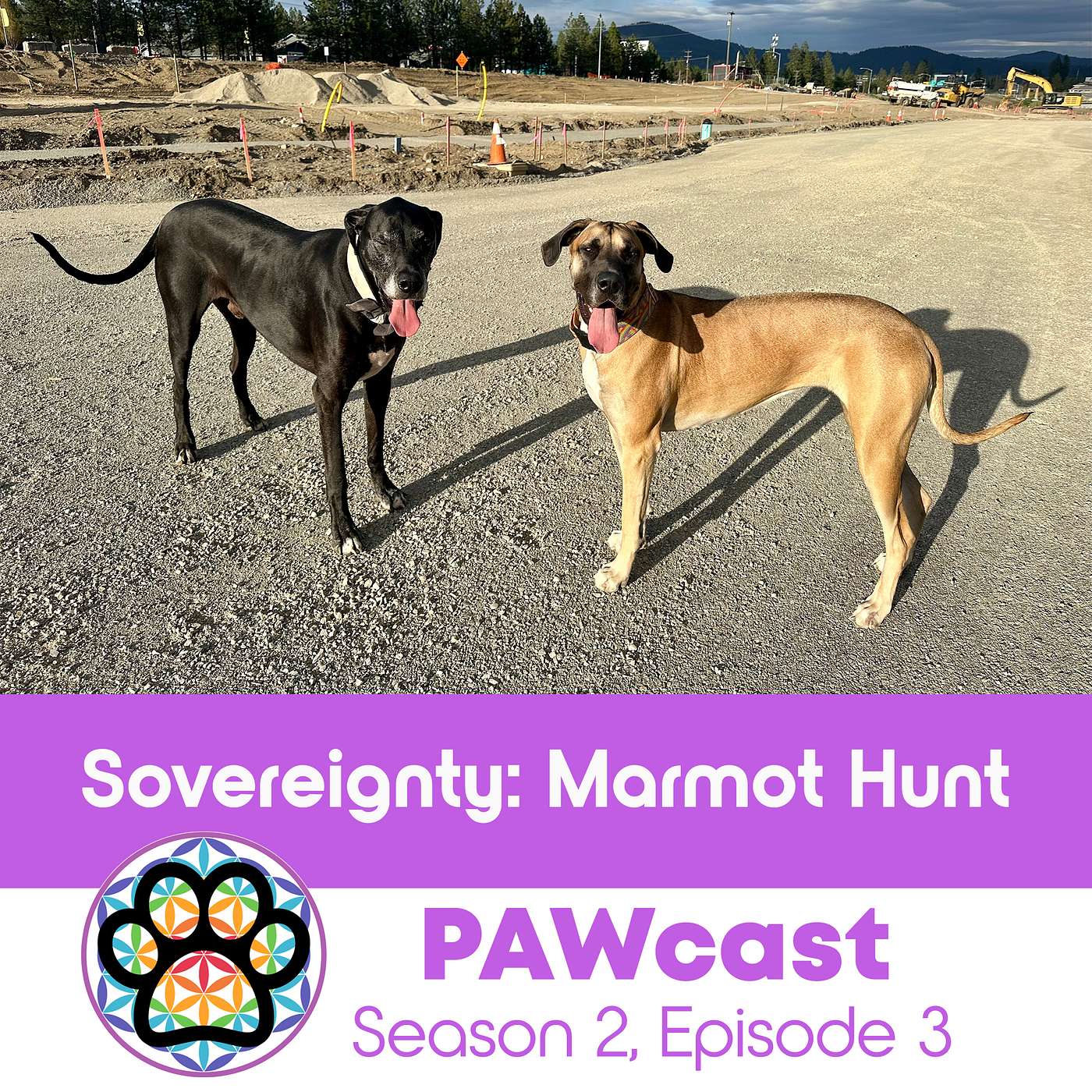 What Sovereignty Means, Marmot Hunt  - BONUS AUDIO episode artwork