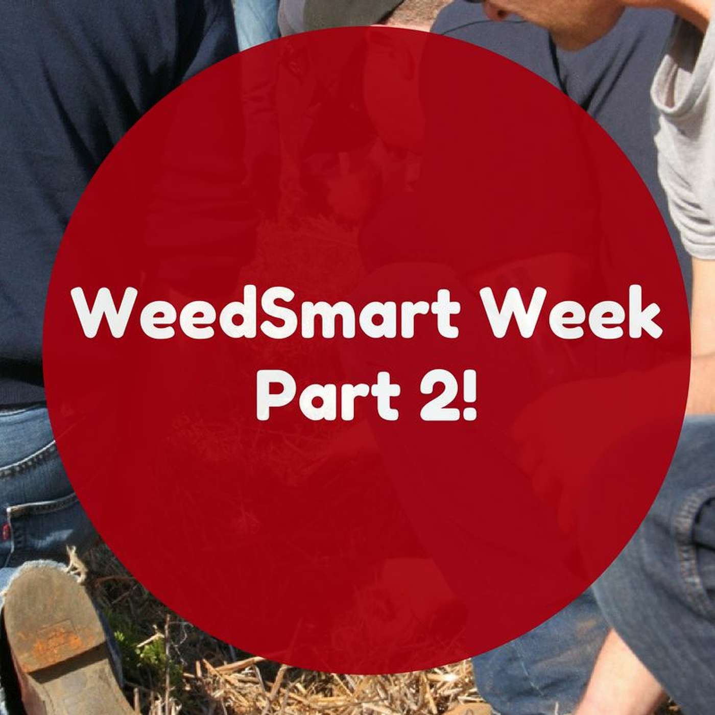 WeedSmart Week Part 2