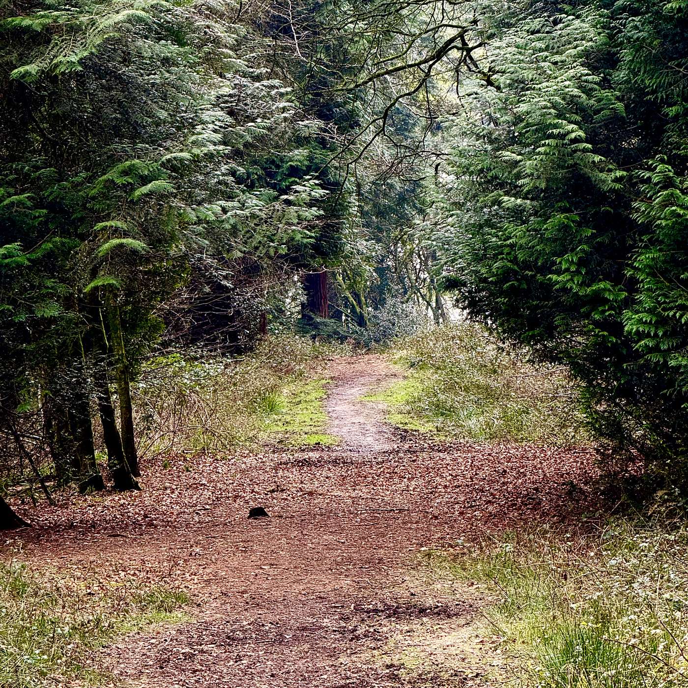 John Clare’s Invitation to his Love; and poor Leaf’s Grief