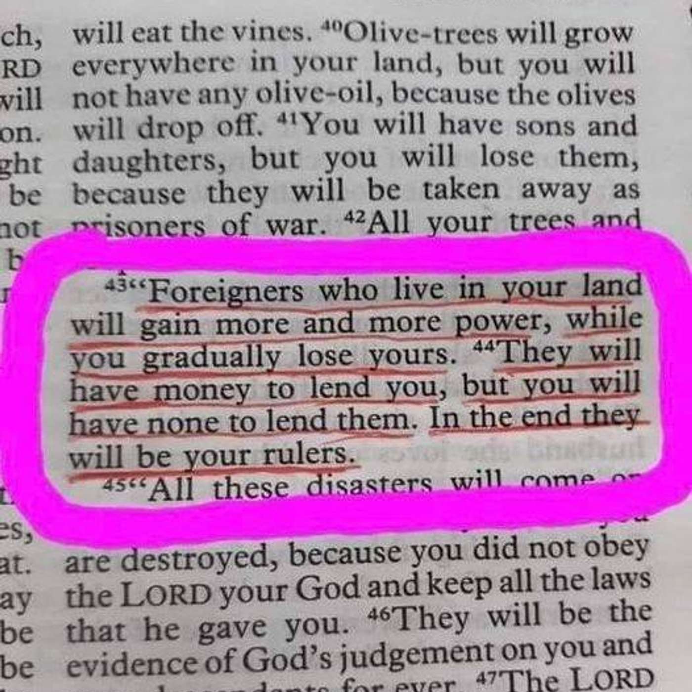 Dangerous but useful invaders