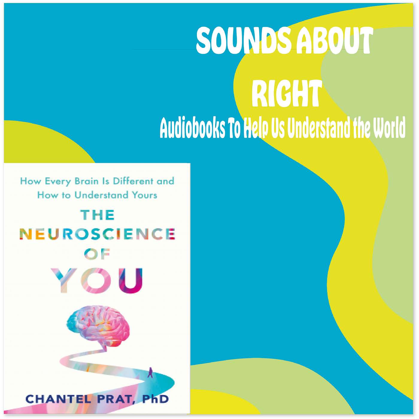 Sounds About Right: Audiobooks to Help Us Understand the World
