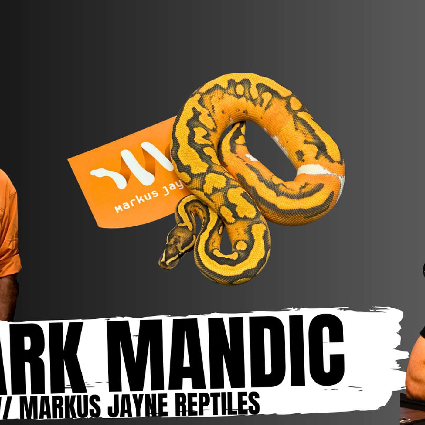 The Great & Powerful Mark Mandic Explains A New Ball Python Genetic 