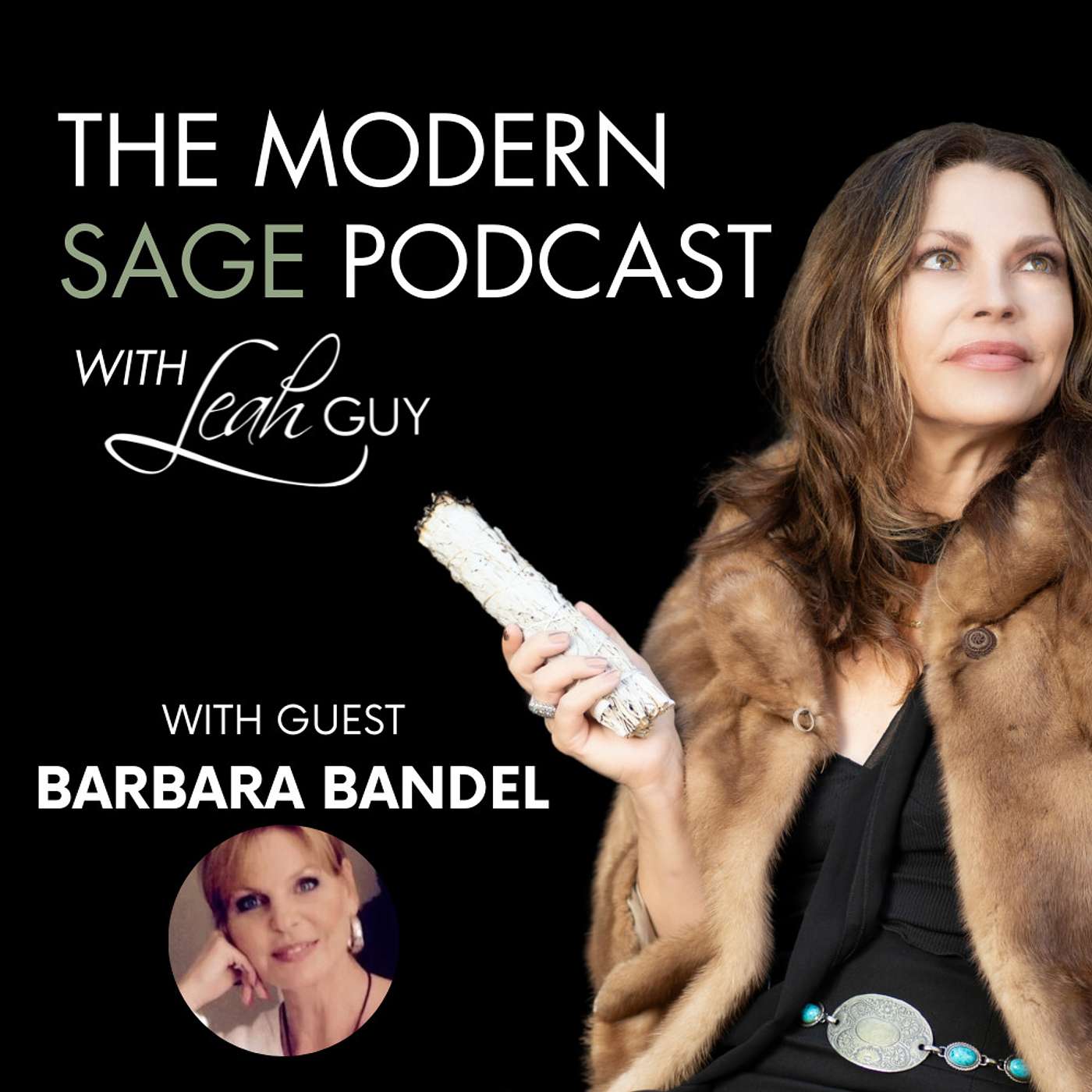 The Modern Sage Podcast