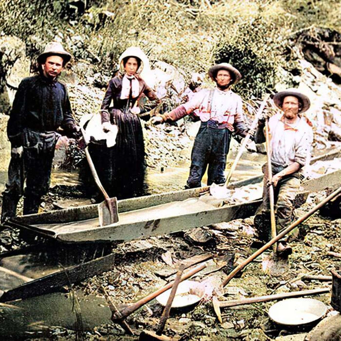 cover of episode The California Gold Rush
